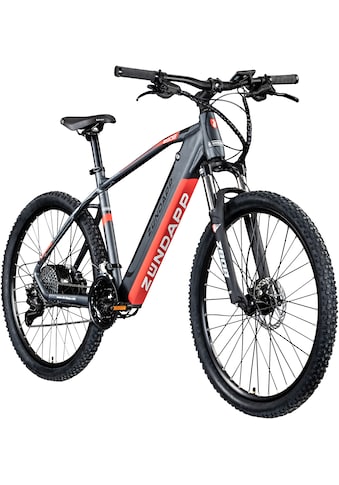 E-Bike »Z808«, 24 Gang, Heckmotor 250 W