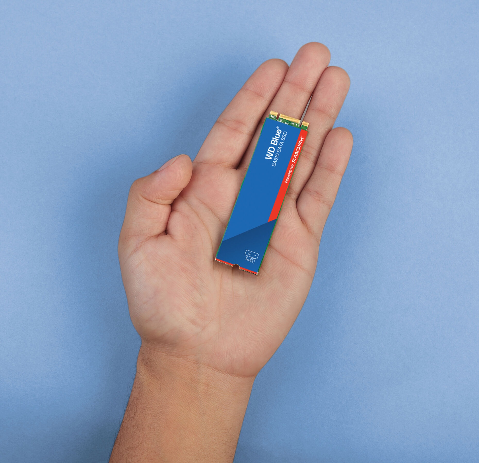 Sandisk interne SSD »WD Blue SA510«