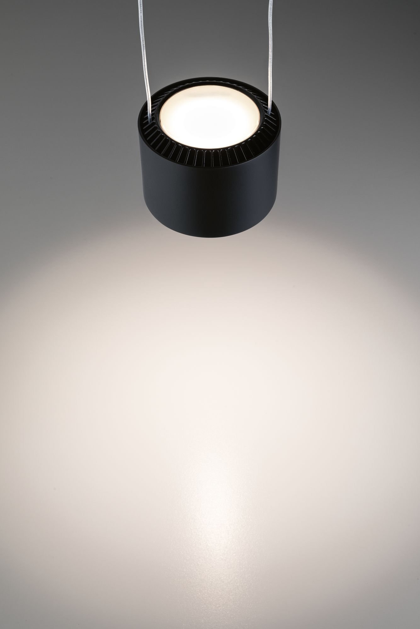Paulmann LED Deckenleuchte »URail Pendel Aldan 860lm/460lm 8,5W 2700K 230V«, 1 flammig-flammig, dimmbar