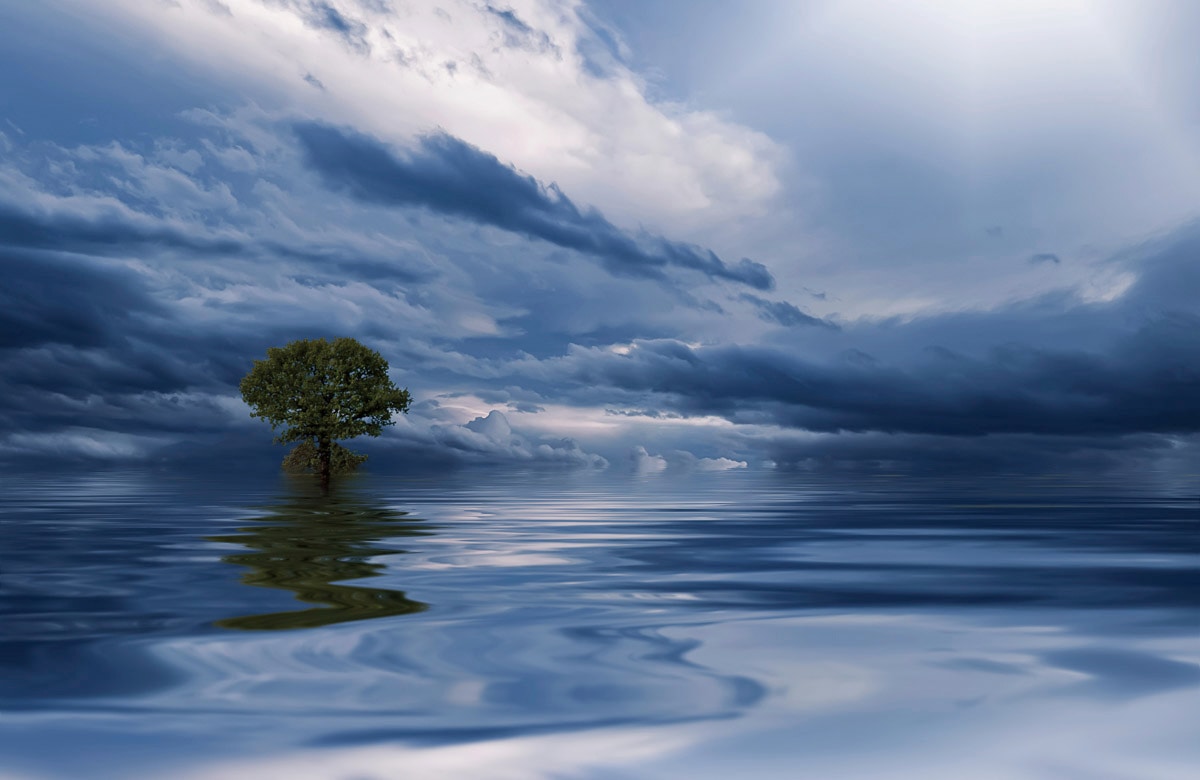 Papermoon "MEER WOLKEN-BAUM BEACH STRAND PANORAMA HIMMEL WELLEN"