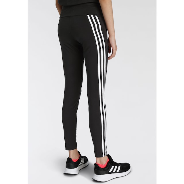 adidas Sportswear Leggings »3-STREIFEN COTTON TIGHT« ▷ für | BAUR