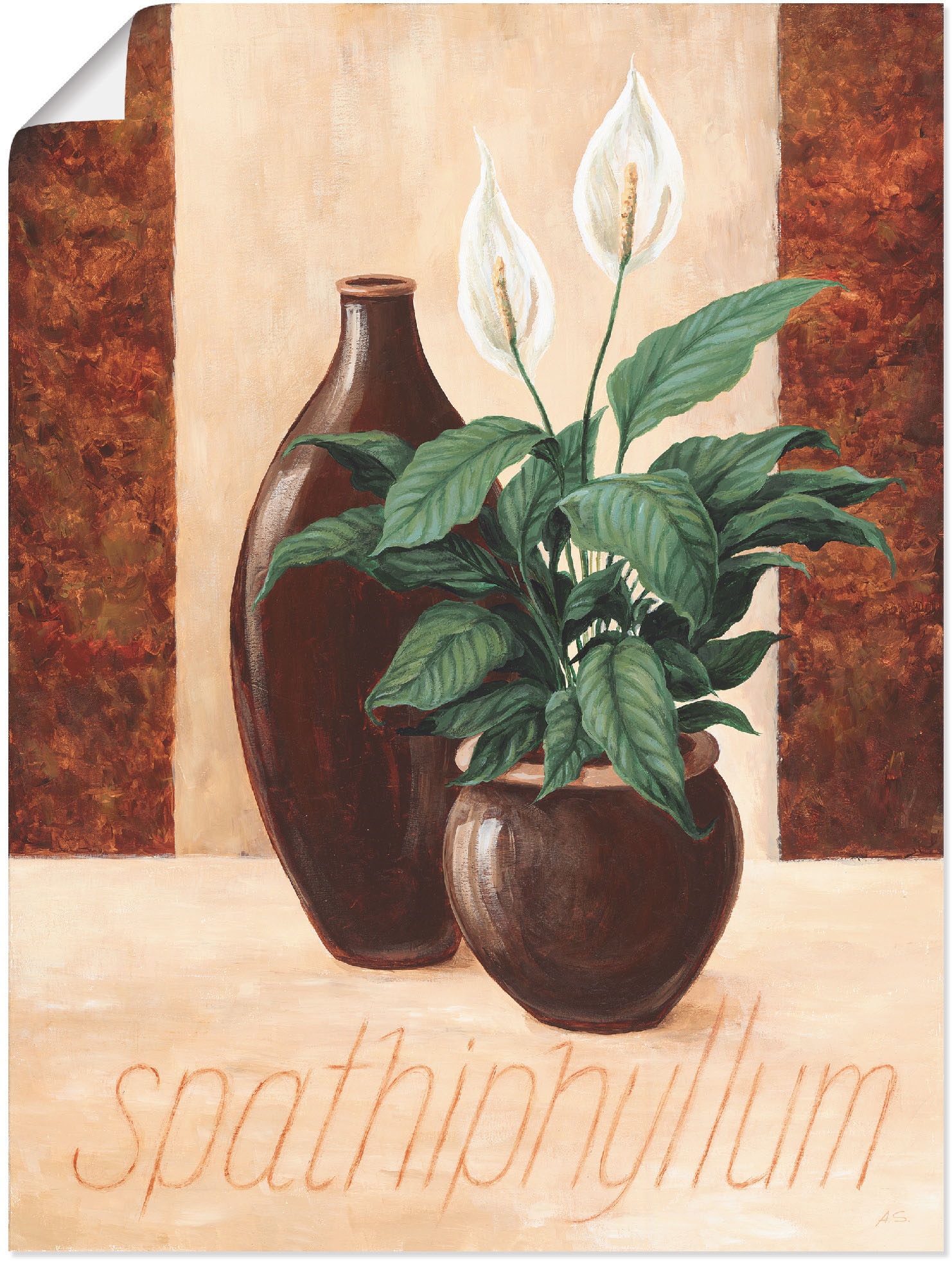 Artland Poster »Spathiphyllum - Einblatt«, Pflanzenbilder, (1 St.), als Alubild, Leinwandbild, Wandaufkleber oder Poster in versch. Größen