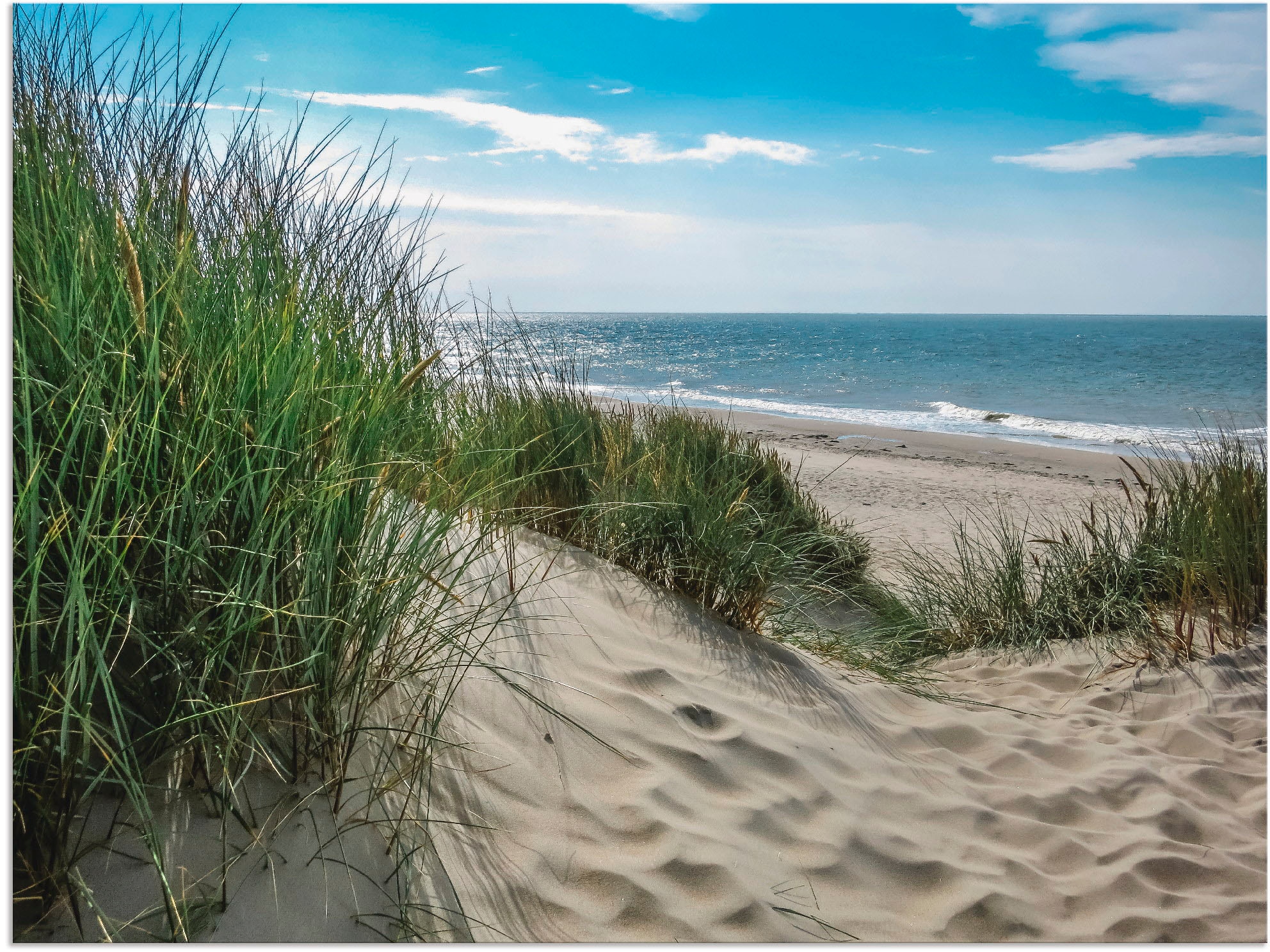 Artland Wandbild »Dünenlandschaft im Sommer an der Nordsee«, Strand, (1 St.), als Alubild, Outdoorbild, Leinwandbild, Poster, Wandaufkleber