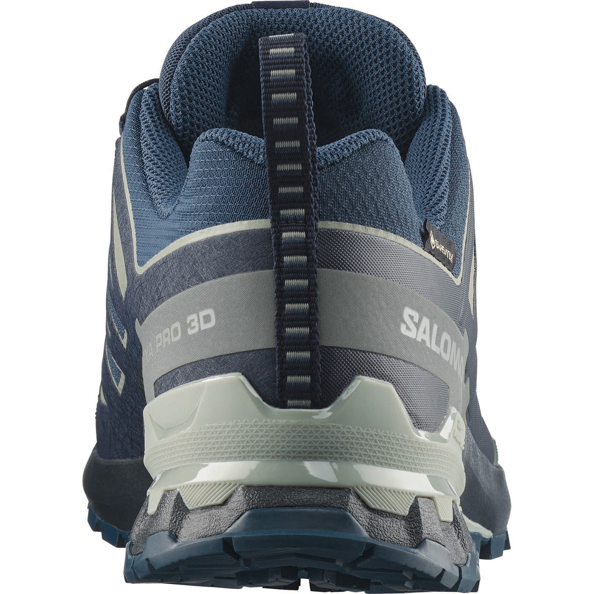Salomon Trailrunningschuh »XA PRO 3D V9 GTX«  wasserdicht