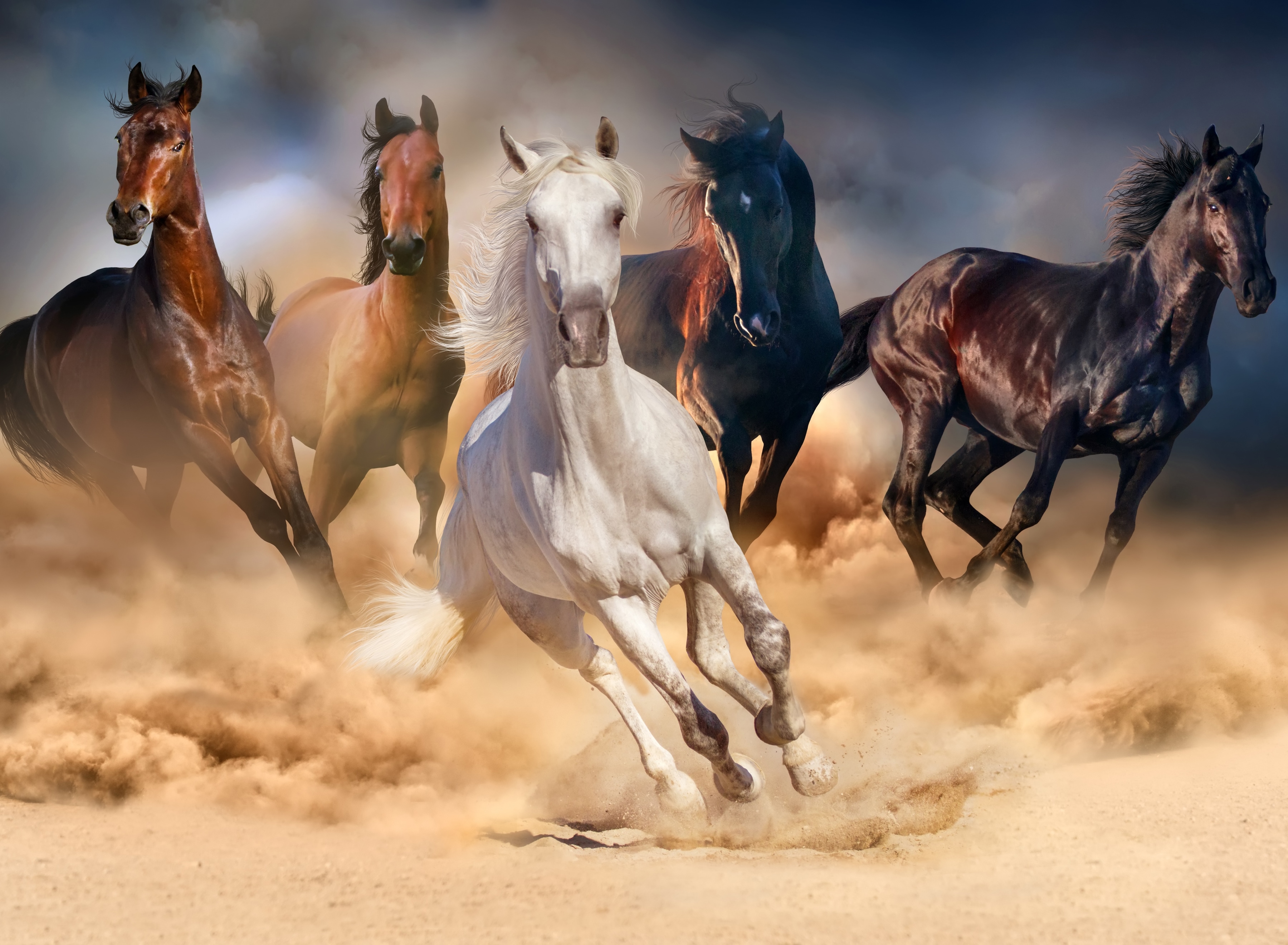 Papermoon Fototapete "Horse Herd in Gallop" glatt