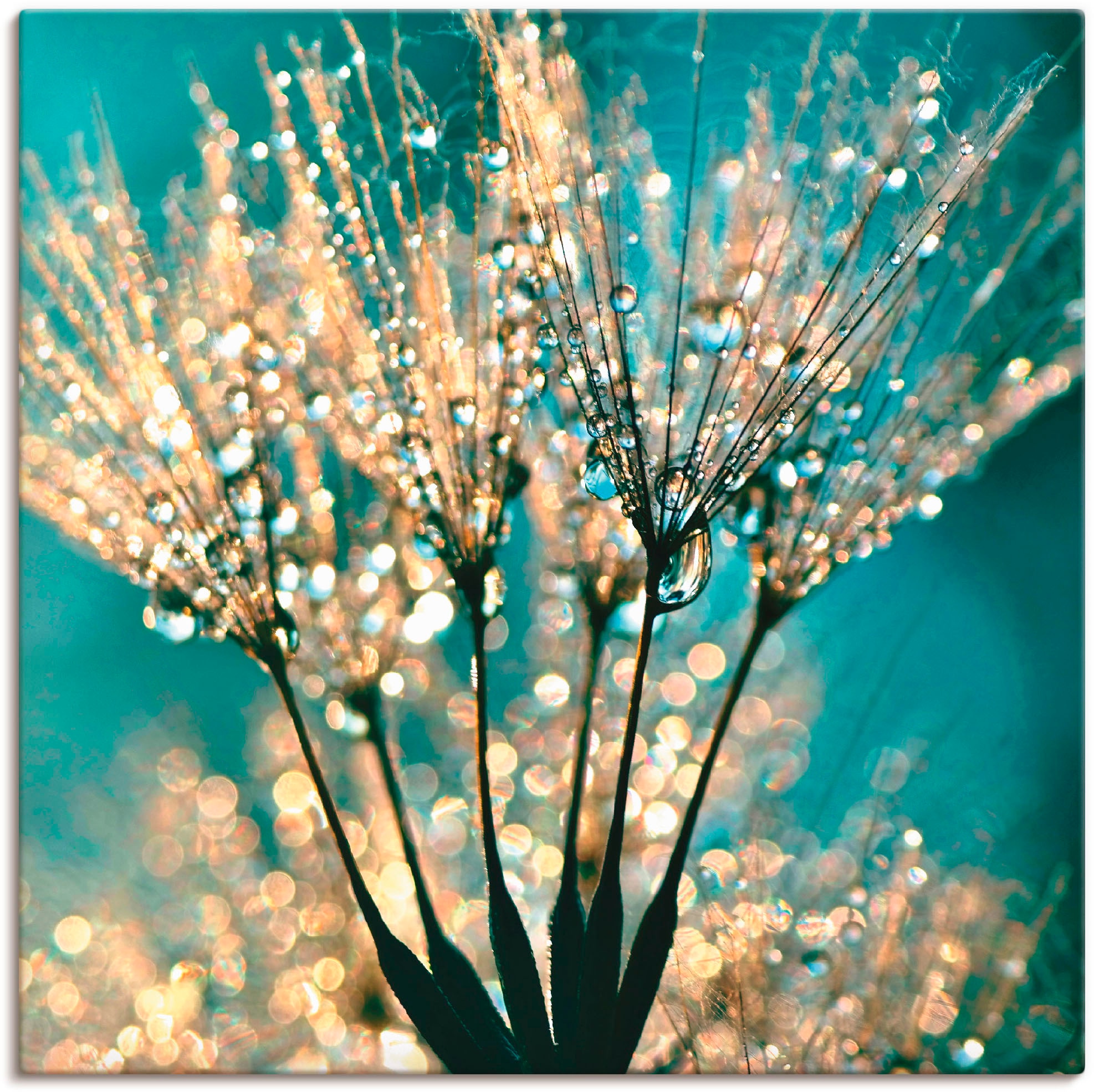 Artland Wandbild "Pusteblume Schirmchen abstrakt" Blumen 1 Stk. tlg. als Leinwandbild, Poster in verschied. Größen