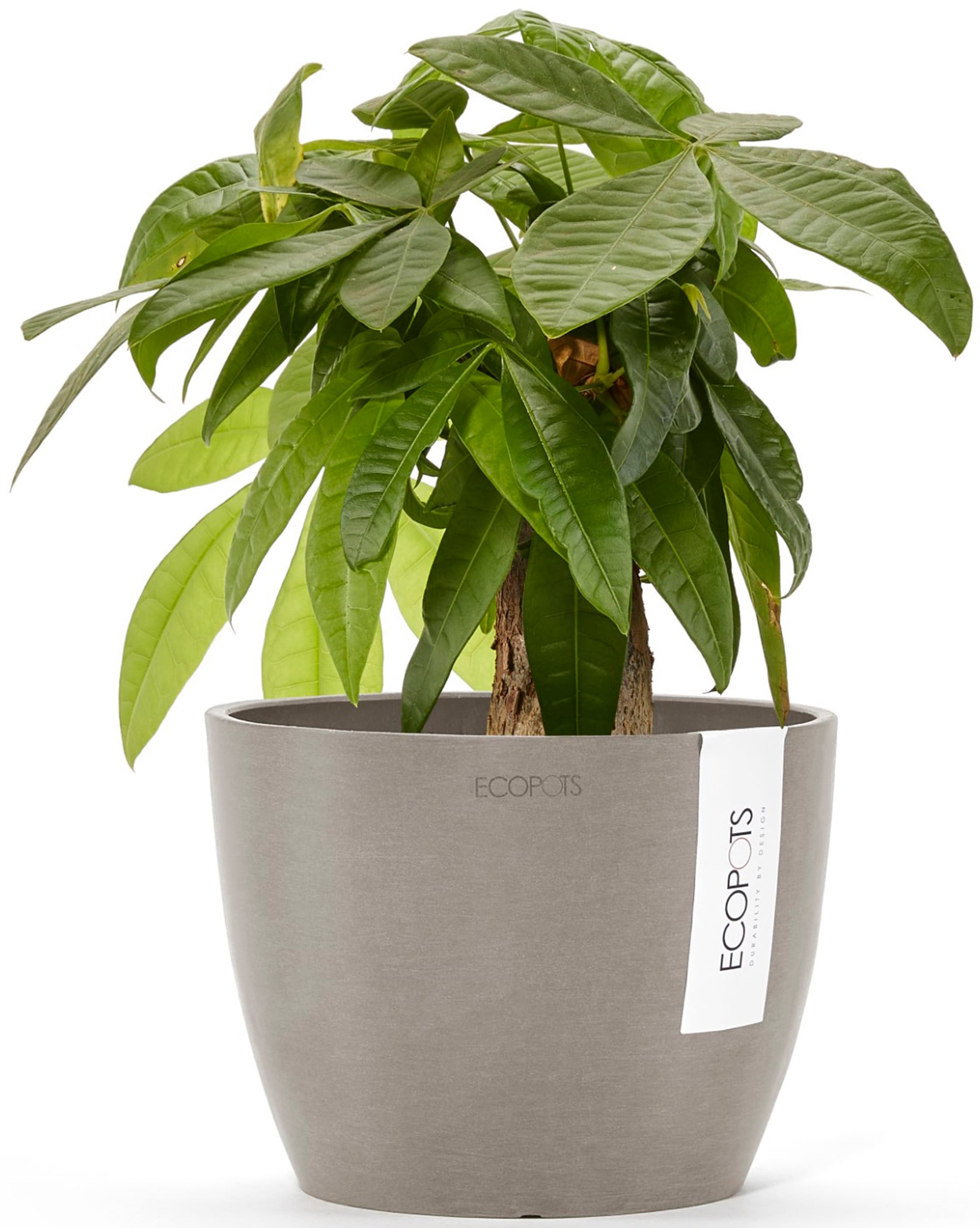 ECOPOTS Blumentopf »Stockholm Mini 16 Taupe«, für innen und außen: frostsicher, bruchsicher und lichtbeständig