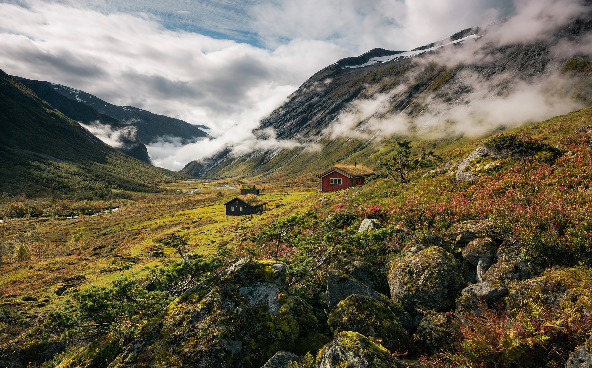 Komar Vliestapete "Pure Norway", 450x280 cm (Breite x Höhe), Wohnzimmer, Schlafzimmer