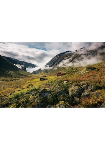 Komar Vliestapete »Pure Norway« 450x280 cm (...