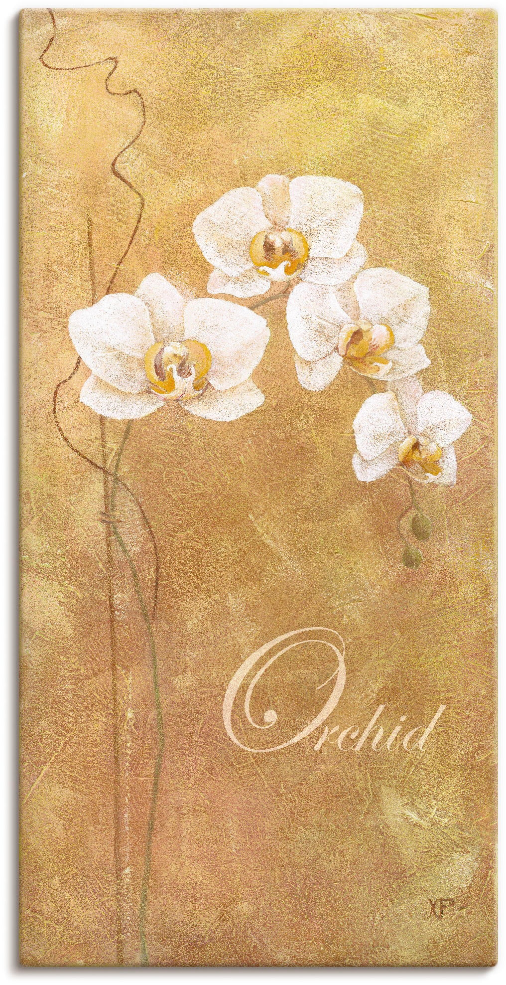 Artland Paveikslas »Filigrane Orchidee« Blumen...