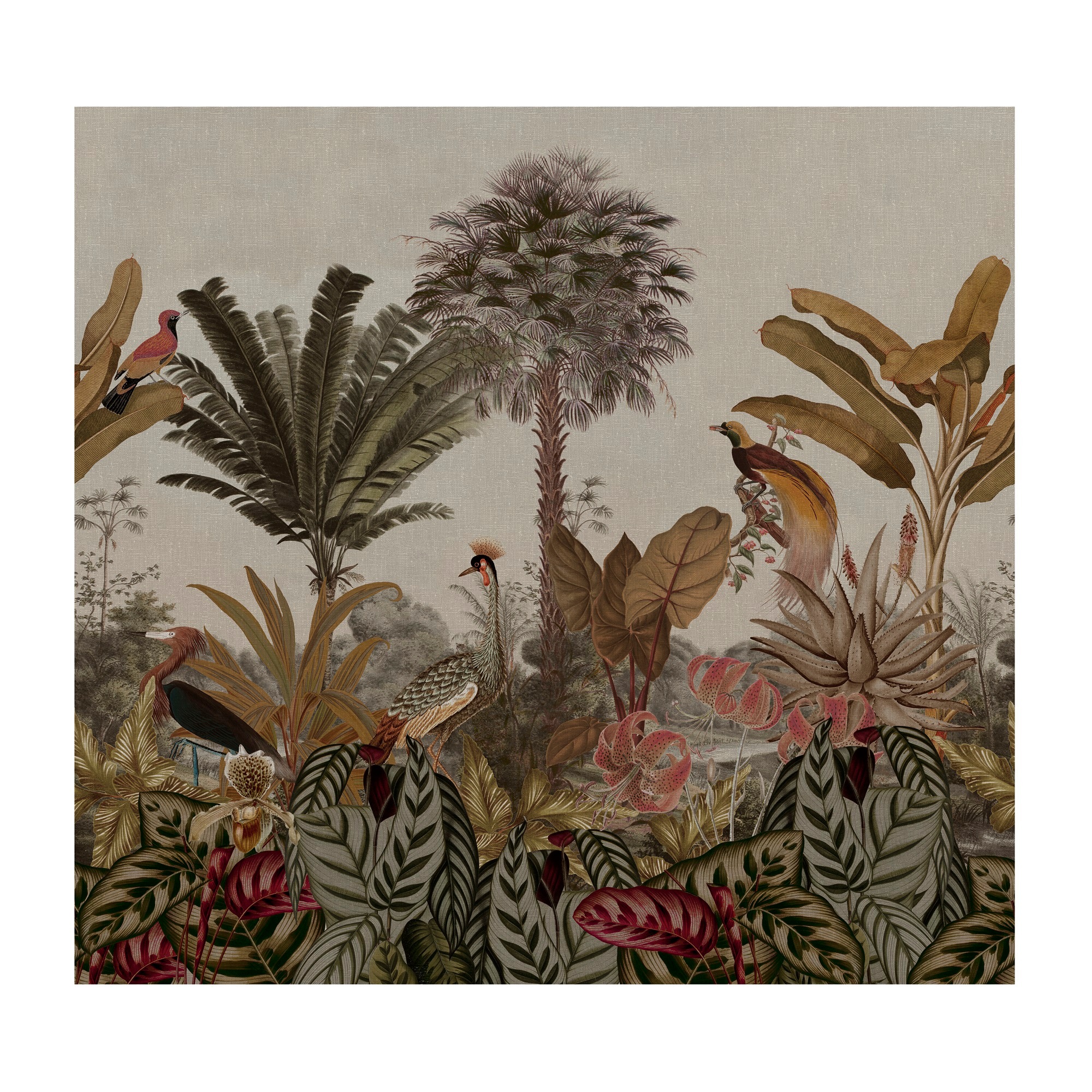 Art for the home Fototapete »Borneo«, neutral, Design Tapeten