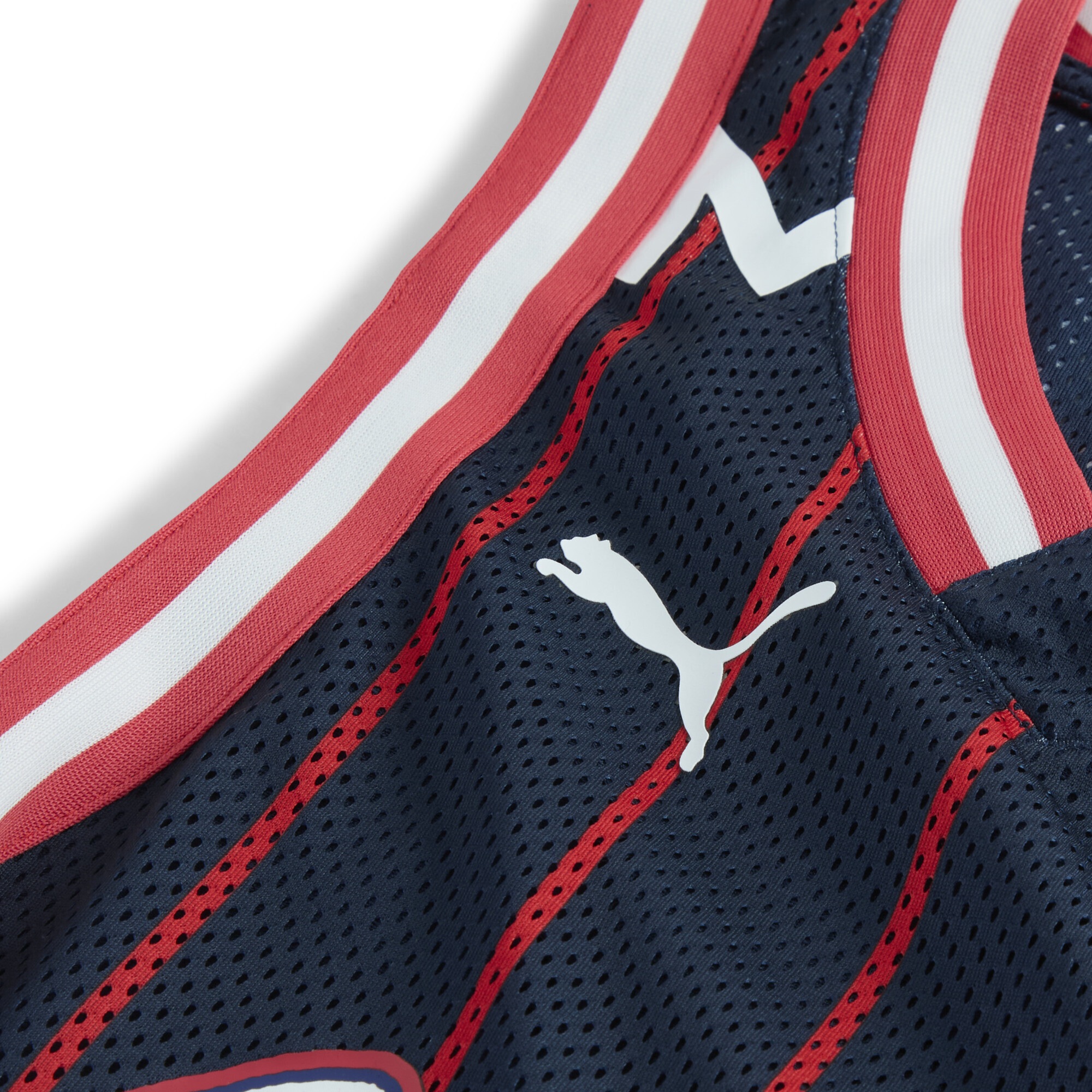 PUMA Trainingsshirt »PUMA HOOPS x FC Red Bull Salzburg Trikot Herren«