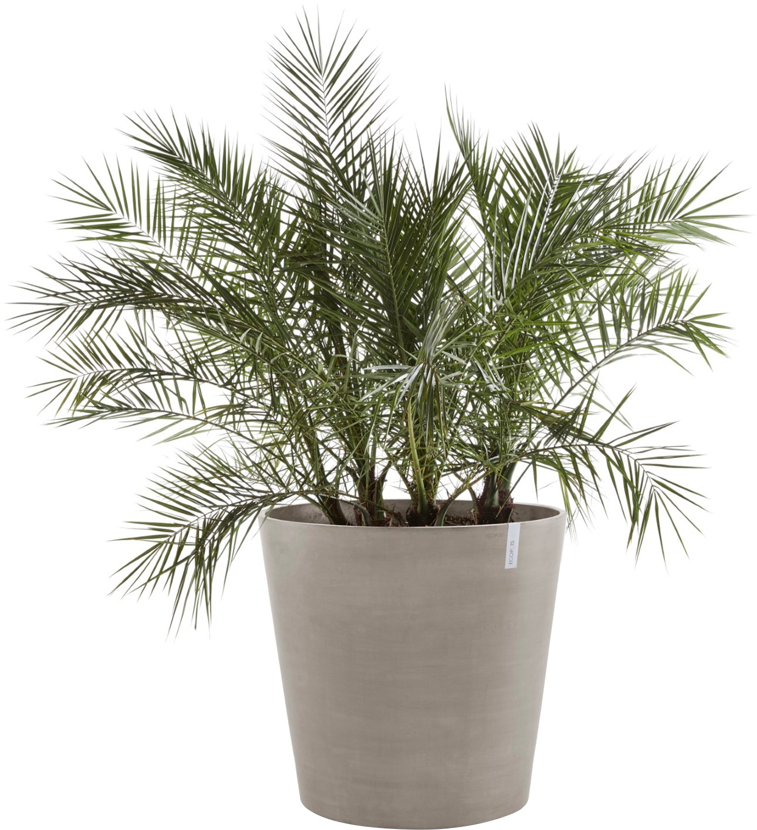ECOPOTS Blumentopf »Amsterdam mit Rollen 100 Taupe«, für innen und außen: frostsicher, bruchsicher und lichtbeständig