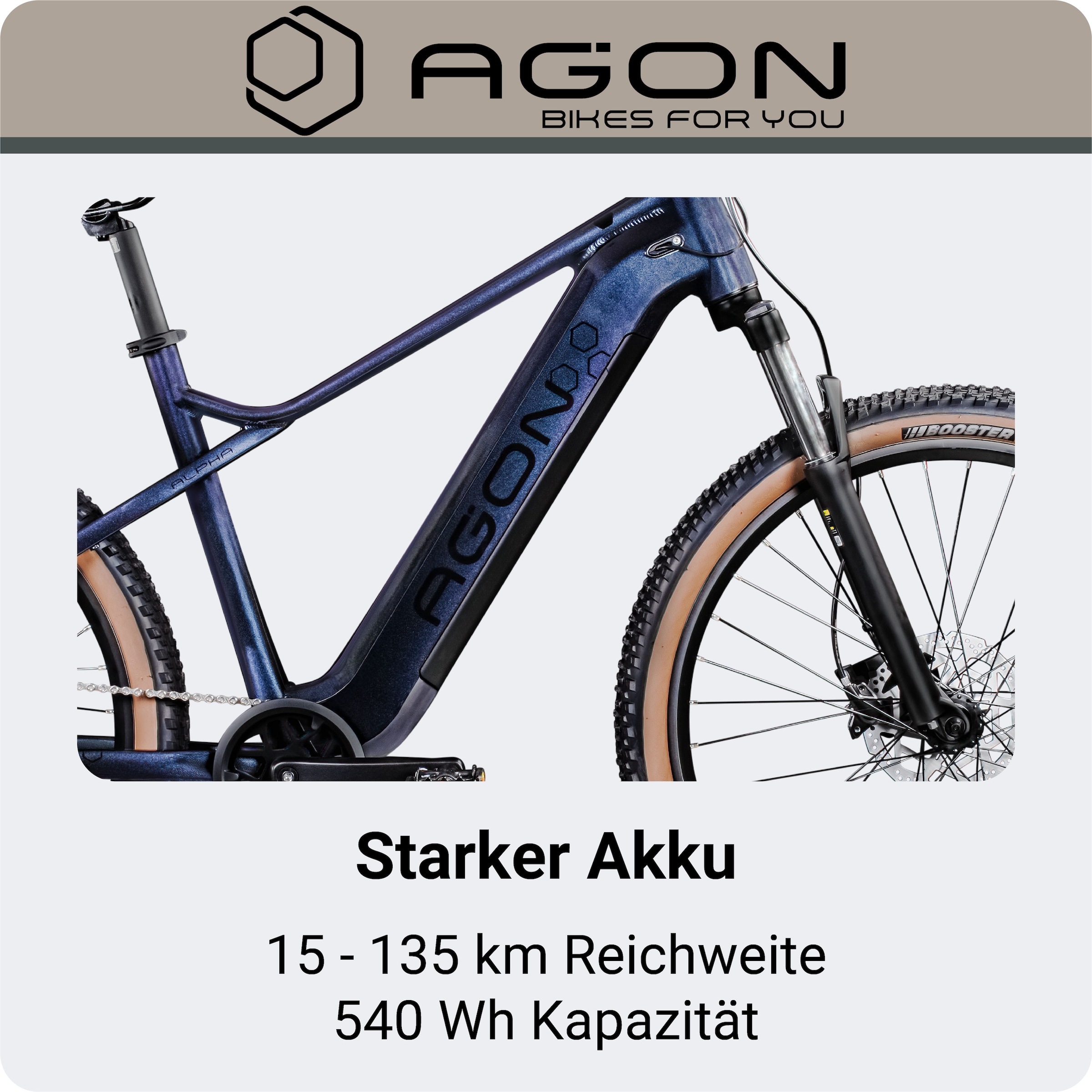 AGON »Alpha« 10 Gang Deore SGS T6000 Schaltwerk Kettenschaltung Heckmotor 250 W Pedelec, Elektrofahrrad für Damen u. Herren, MTB