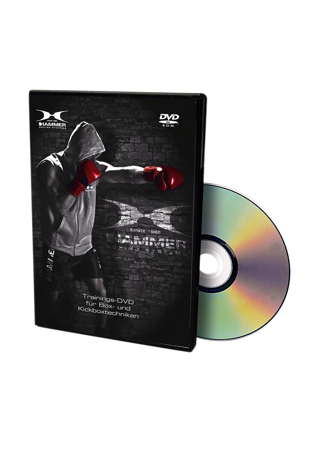 Hammer Boxsack »Canvas Professional«, (Set, mit Trainings-DVD-mit Boxhandschuhen-mit Sprungseil-mit Haken)