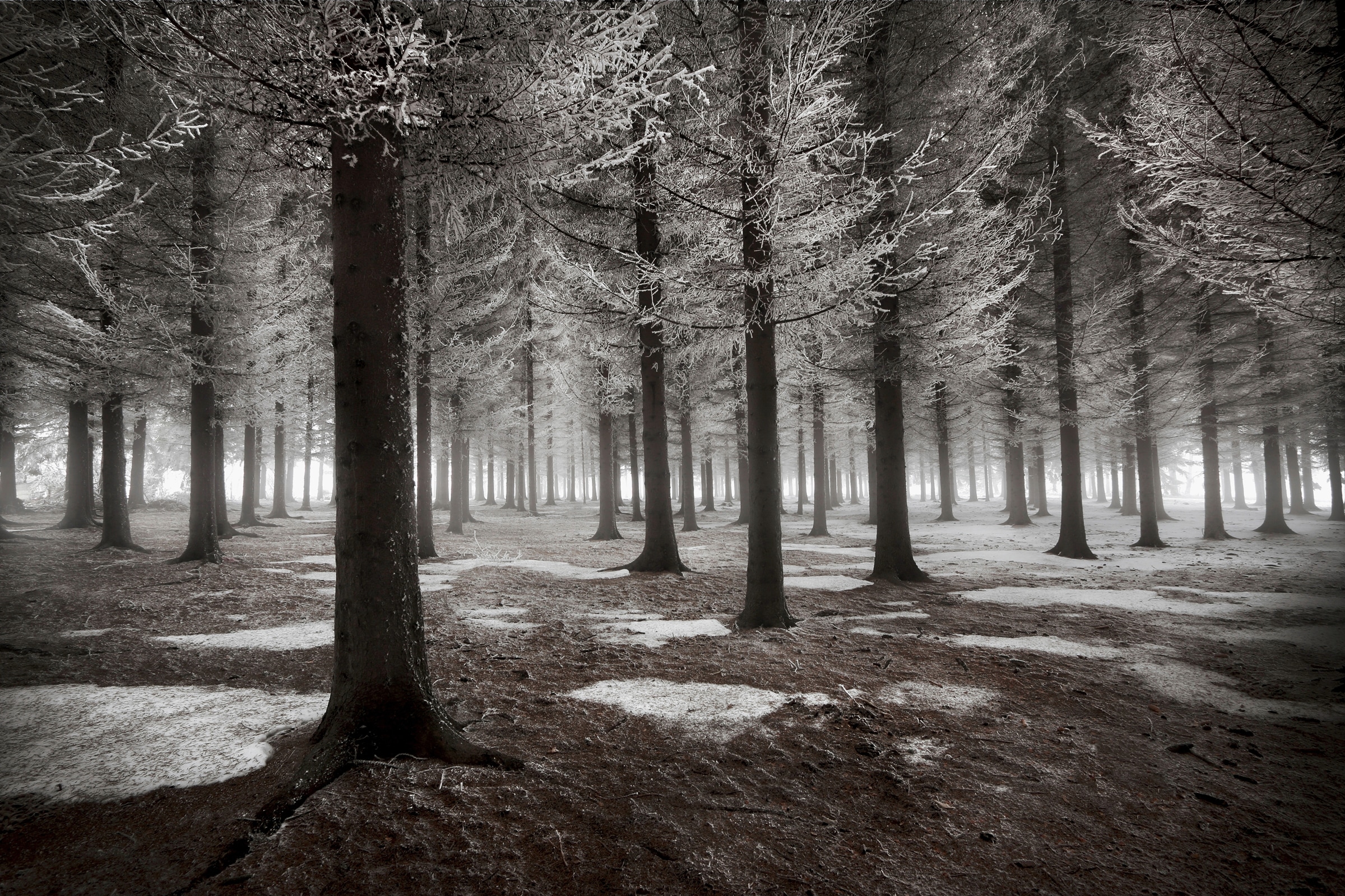Papermoon Fototapete "Photo-Art DRAGISA PETROVIC, DER BEGINN DES WINTERS"