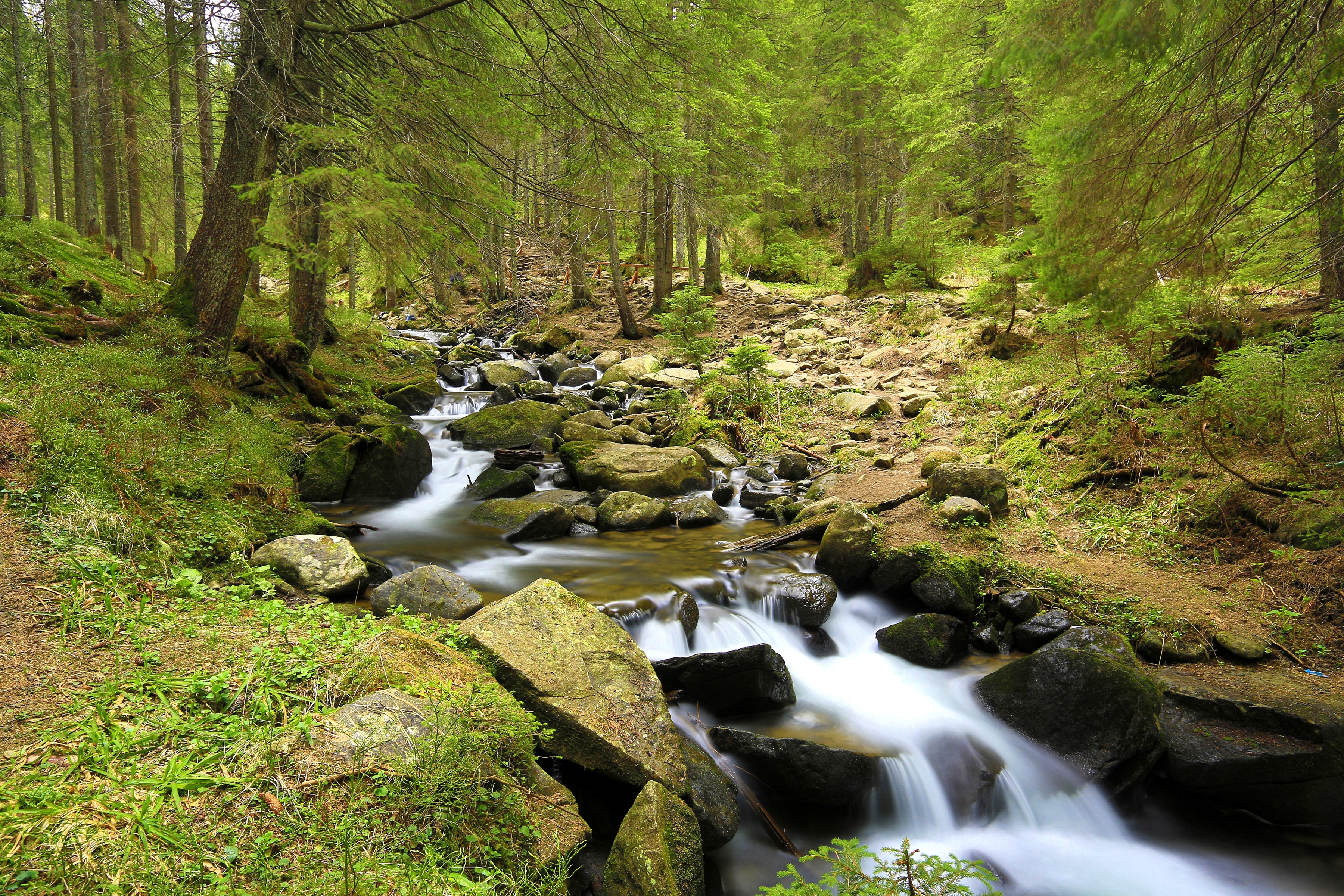 Papermoon Fototapete "Mountain River" glatt