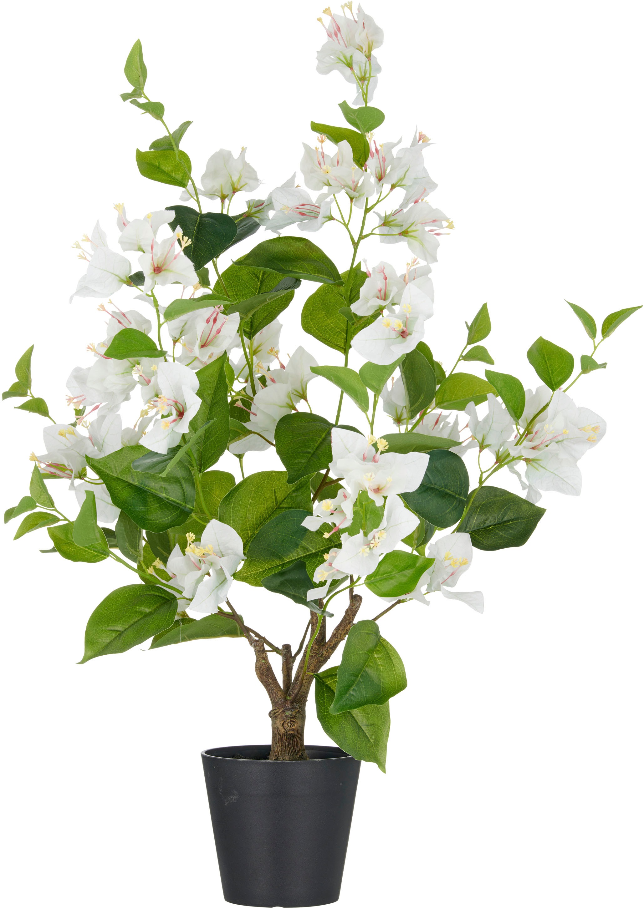 Creativ green Kunstpflanze "Bougainvillea", mit zahlreichen Blüten günstig online kaufen