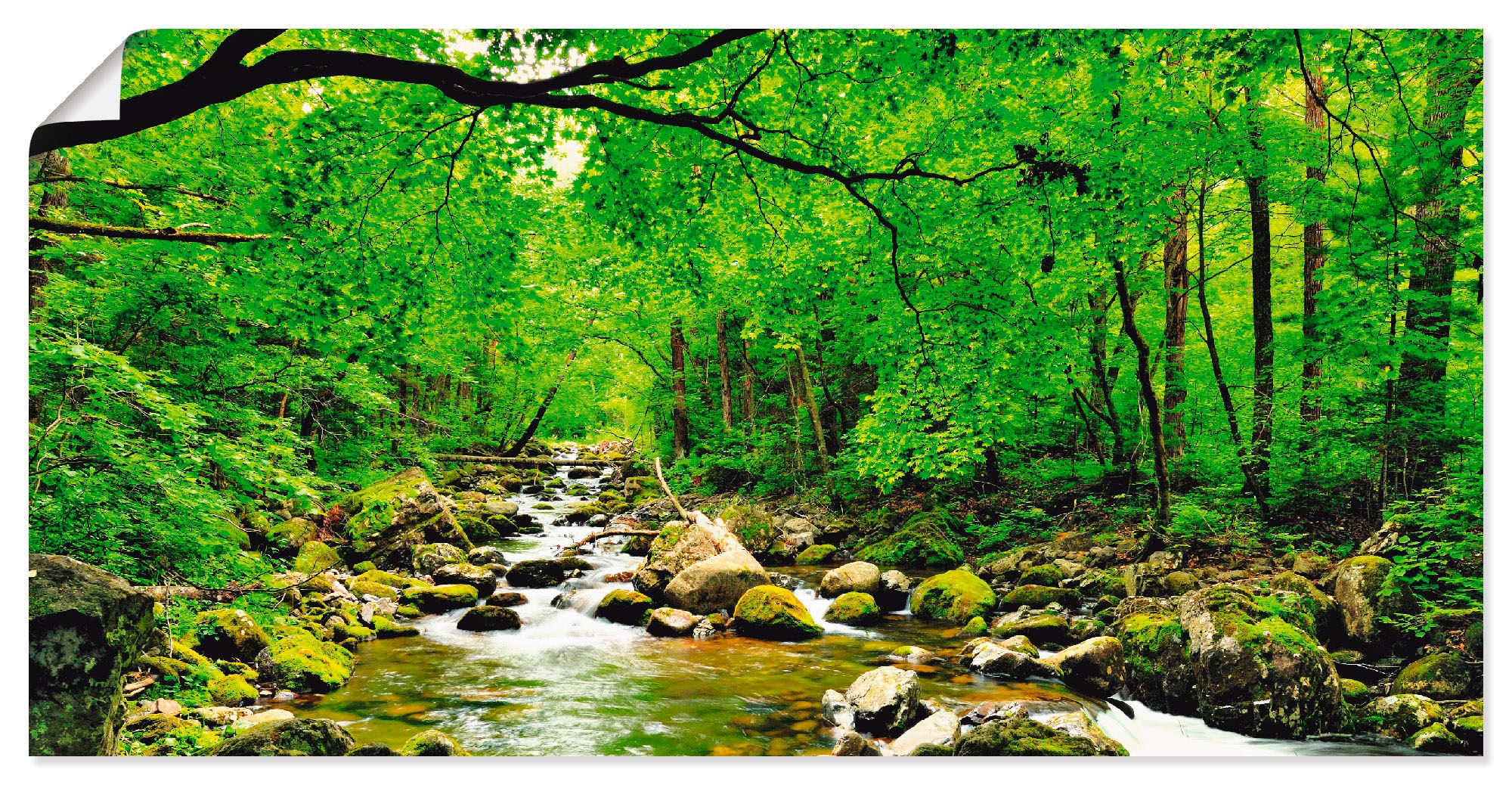 Artland Wandbild "Herbstwald Fluss Smolny", Wald, (1 St.), als Leinwandbild günstig online kaufen