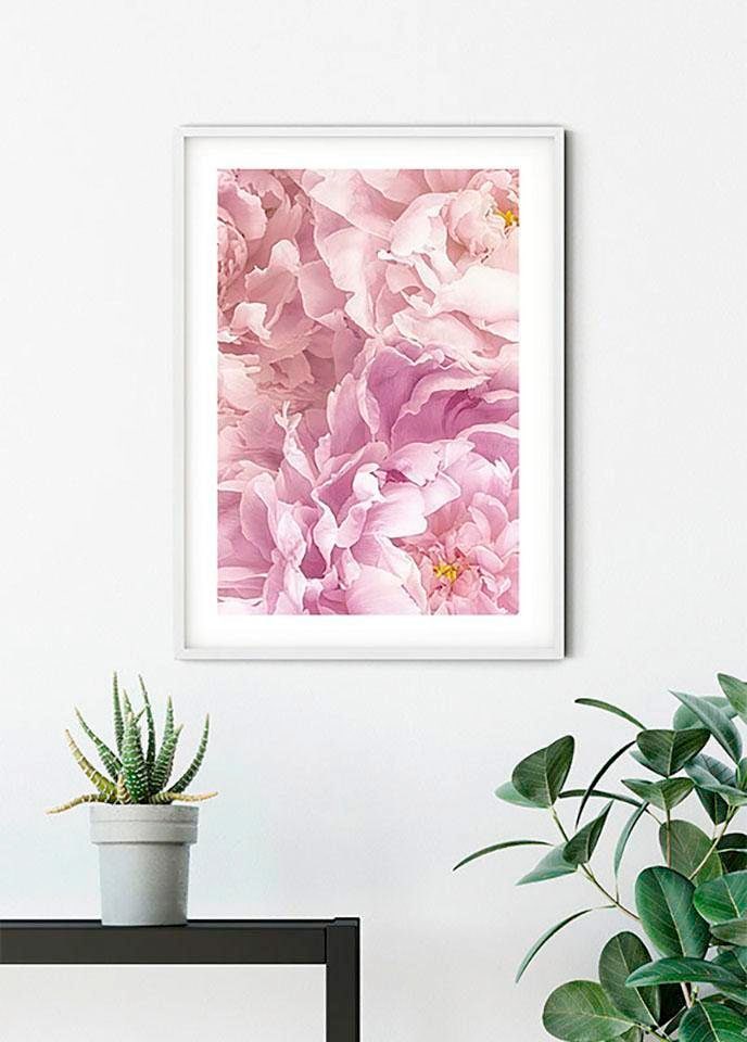 Komar Bild »Sauve«, Blumen, (1 St.), Wandbild zur Dekoration - ohne Rahmen