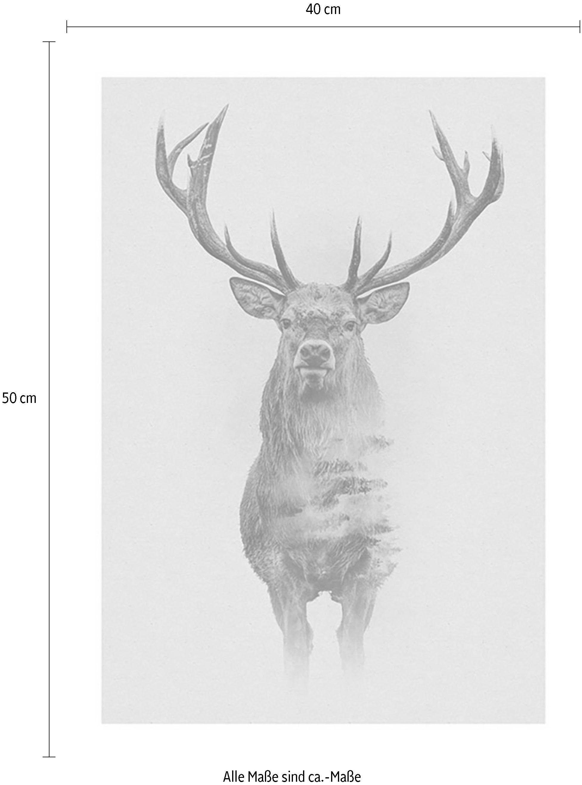 »Animals Deer«, | Komar (1 St.), Kinderzimmer, BAUR Forest Poster Wohnzimmer Schlafzimmer, Tiere,