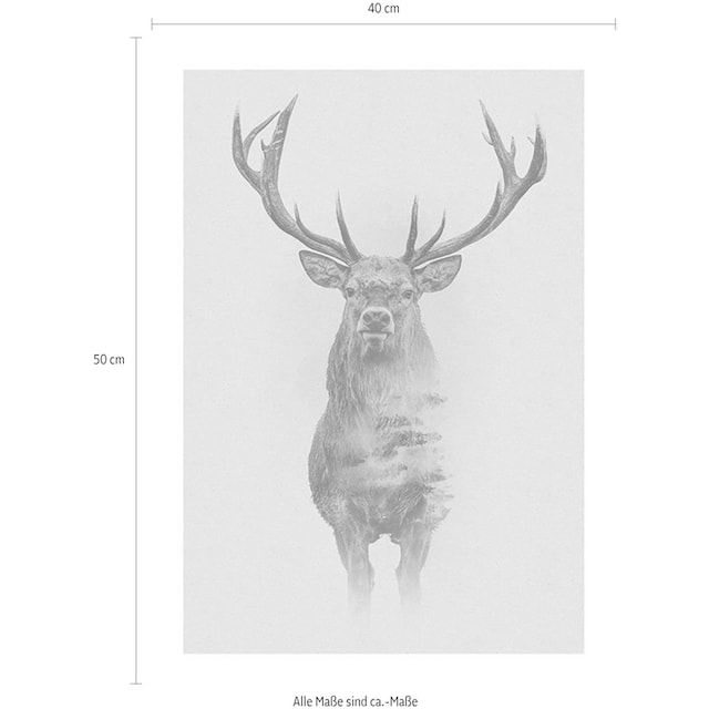 Komar Poster »Animals Forest Deer«, Tiere, (1 St.), Kinderzimmer,  Schlafzimmer, Wohnzimmer | BAUR