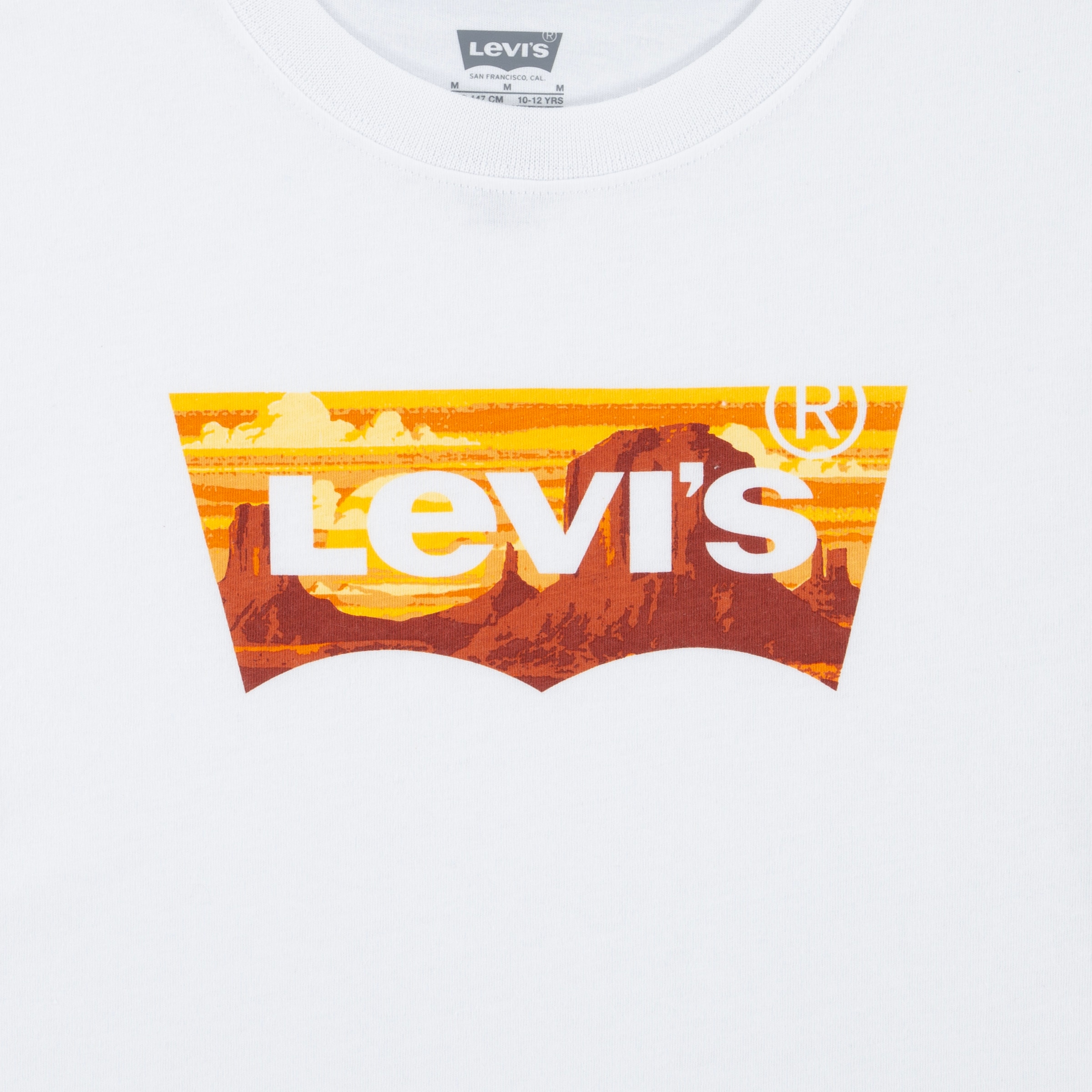 Levi's® Kids T-Shirt »LVB GOLDEN GLOW BATWING TEE«, mit großem Logo