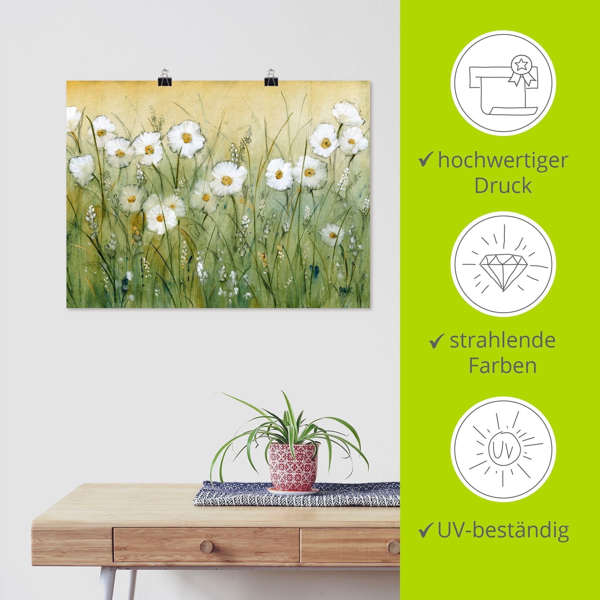 Artland Wandbild »Gänseblümchenfrühling II«, Blumen, (1 St.), als Alubild, Outdoorbild, Leinwandbild, Poster, Wandaufkleber