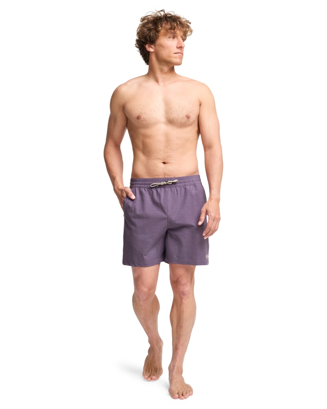 Billabong Every Other Day Layback Boardshorts Dusty Grape S 2