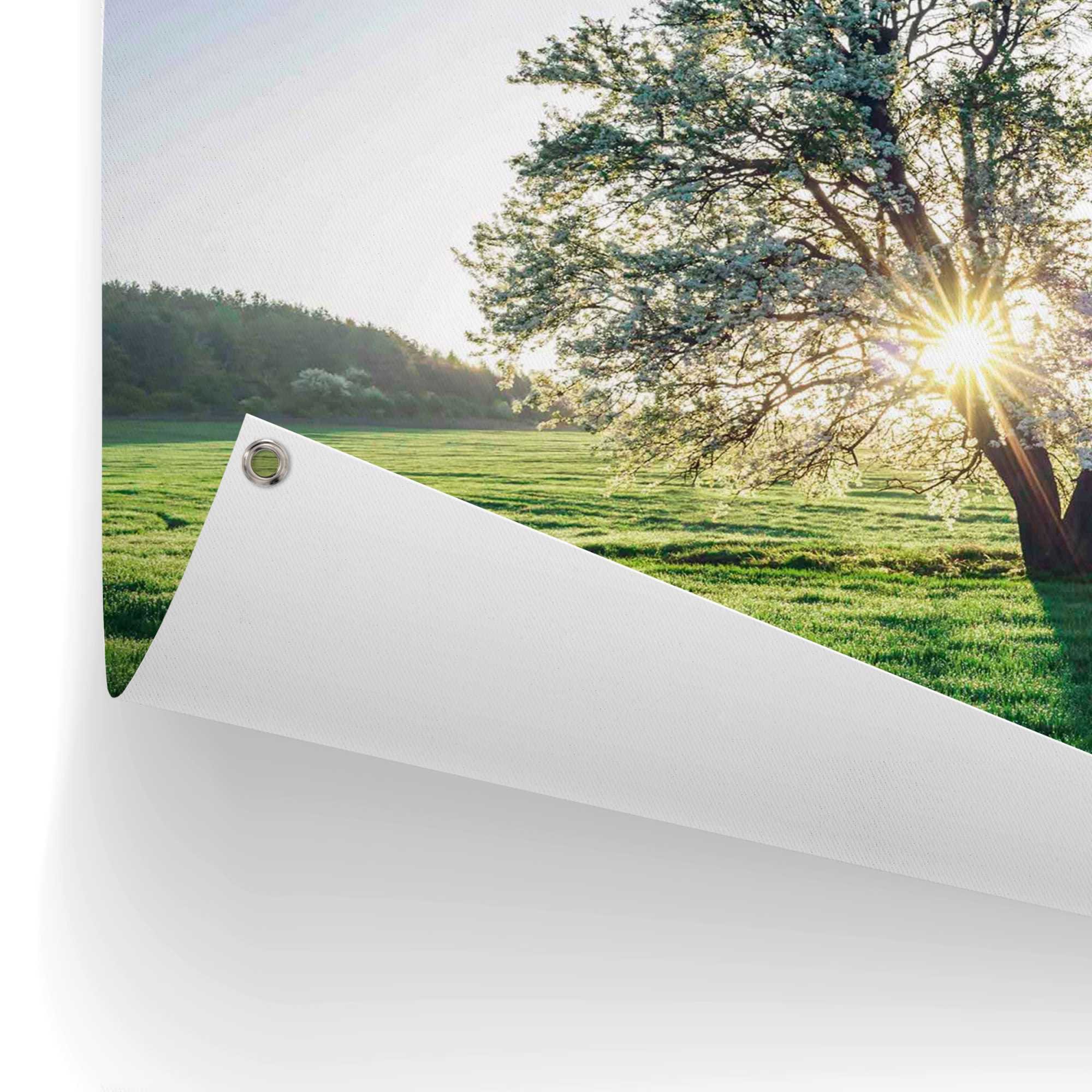 Garten Morgensonne«, Balkon in BAUR Reinders! oder der Outdoor »Baum Poster für kaufen |