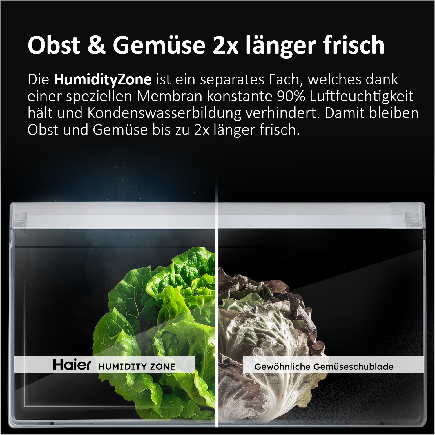 Haier Kühl-/Gefrierkombination 3D 60 SERIES 5 »HTW5620CNMP« 205 cm hoch 59,5 cm breit Humidity Zone: Obst, Gemüse und Salat 2x länger frisch halten