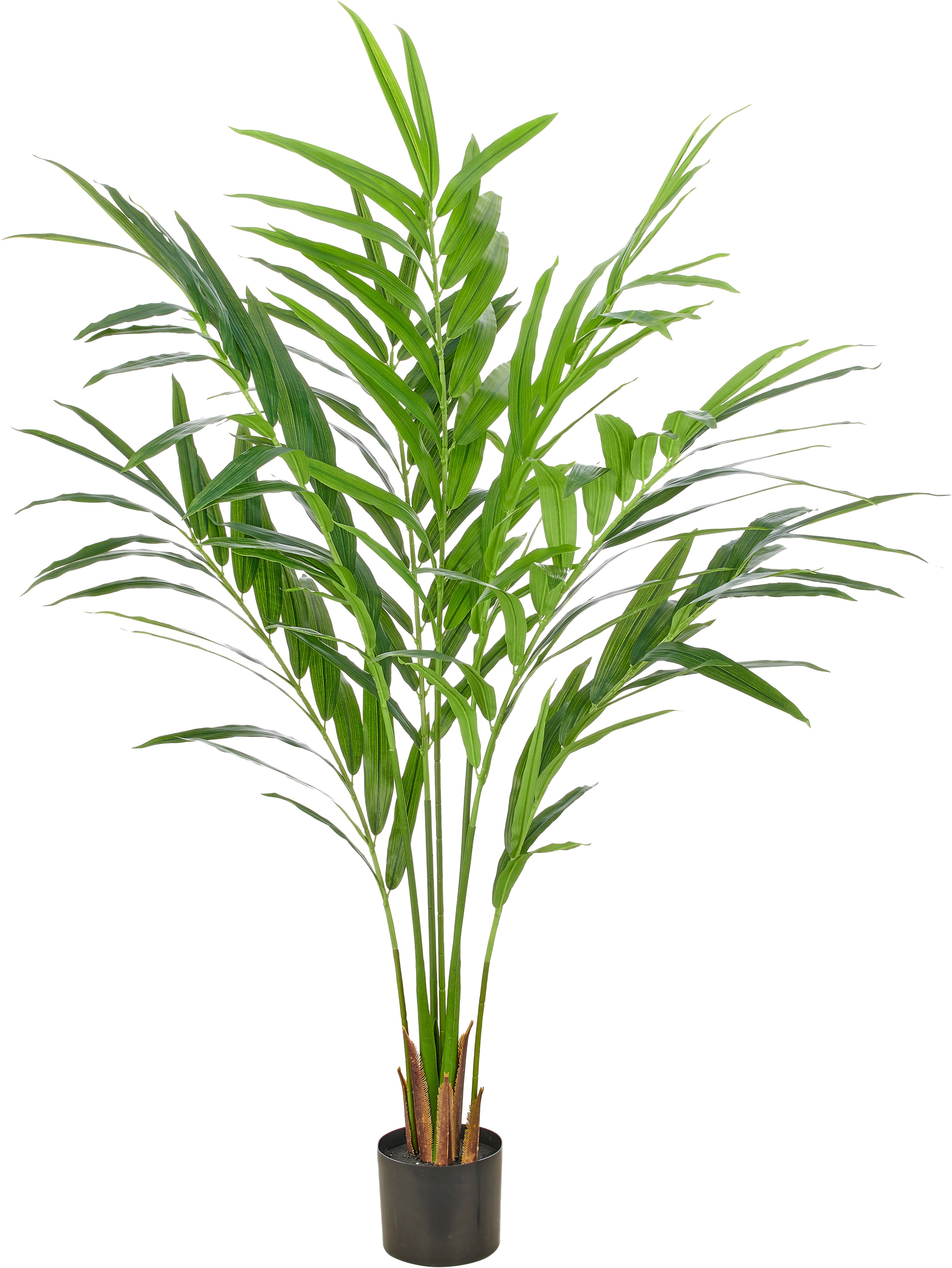 Creativ green Kunstpalme "Kentiapalme" mit naturgetreuen Palmwedeln