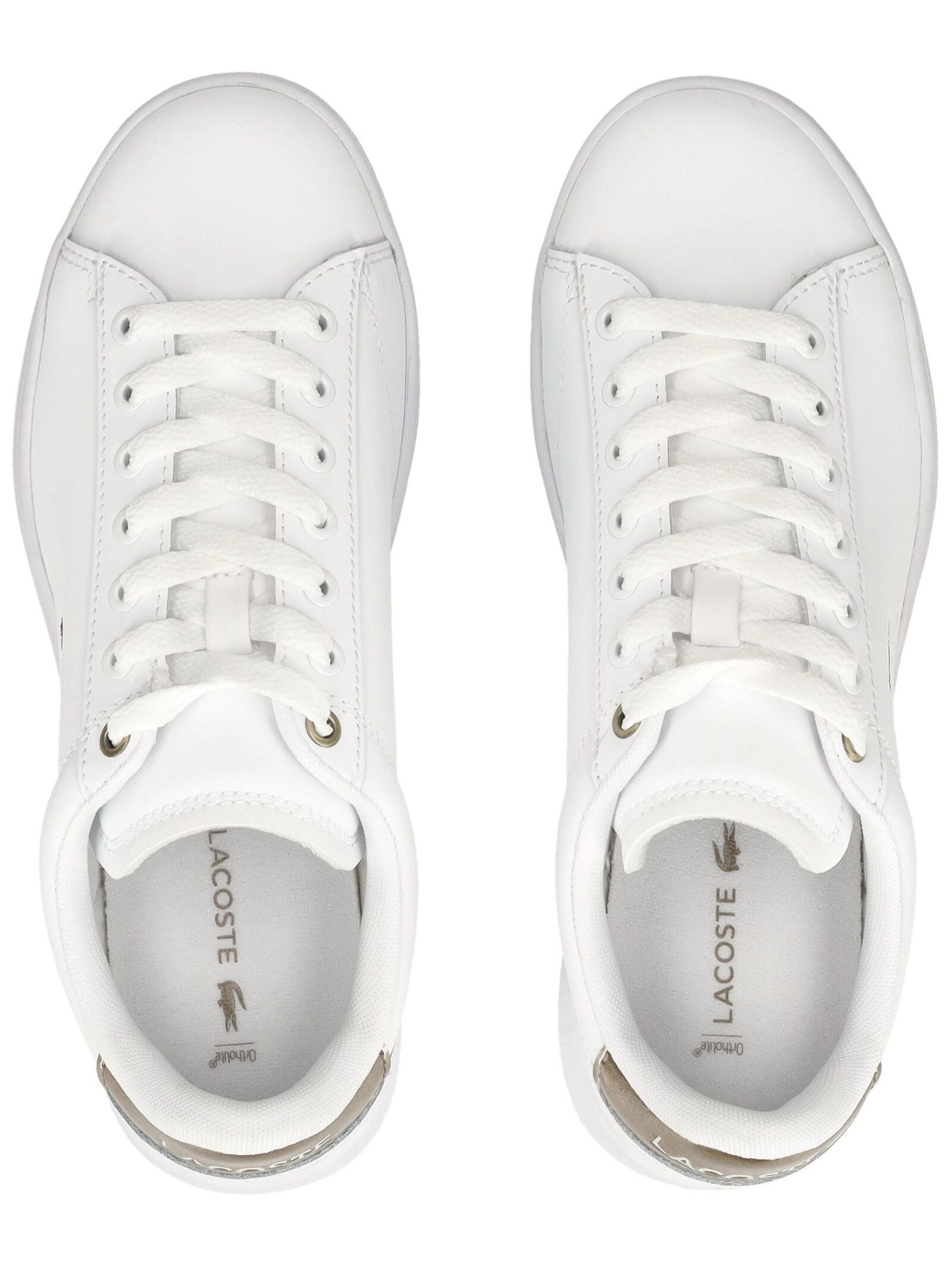 Lacoste Sneaker »lacoste Sneaker Leder«