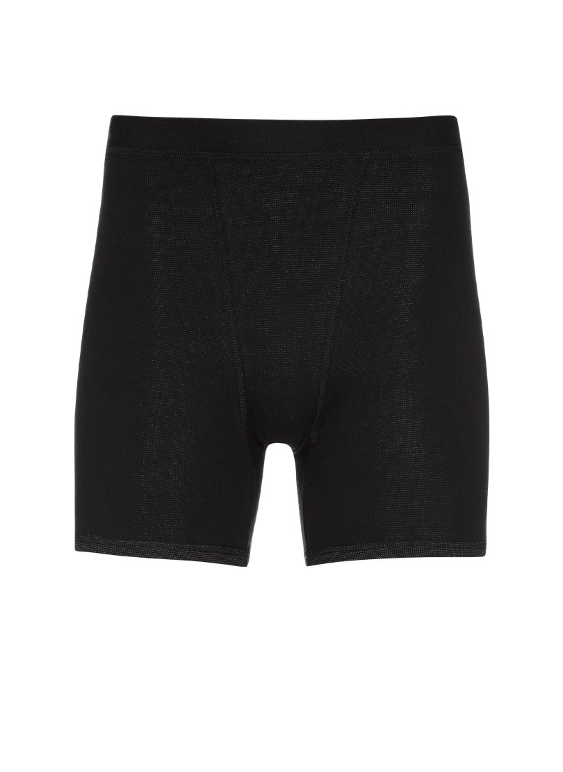 Trigema Schlüpfer "TRIGEMA Funktions-Silber-Pants" 1 Stk. tlg. günstig online kaufen