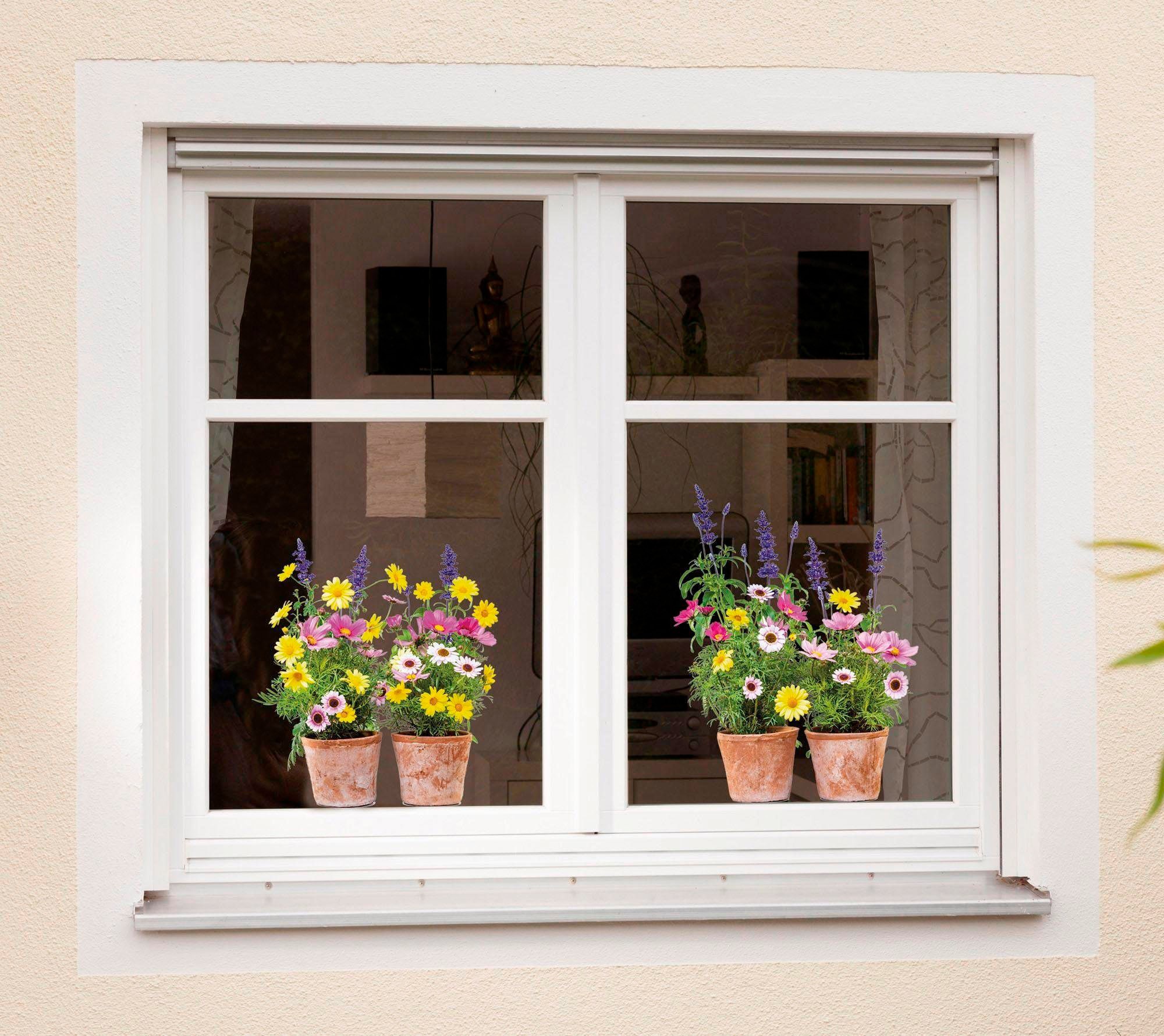 Komar Fensterbild "Springtime", 31x31 cm (Breite x Höhe), selbsthaftend