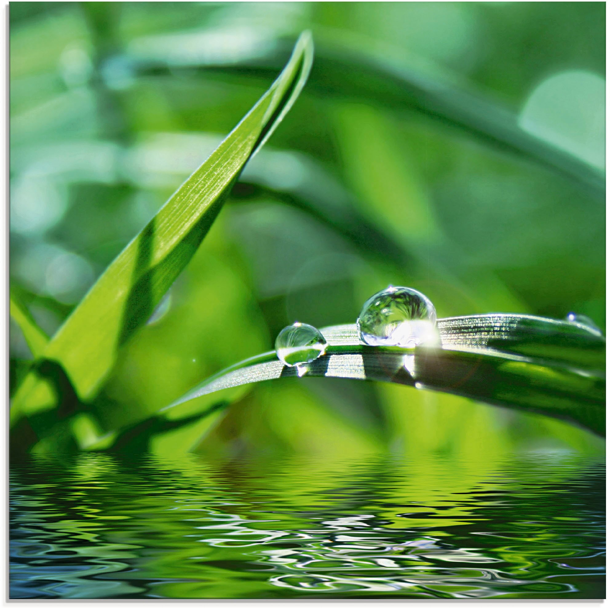 Glasbild »Grüner Hintergrund mit Gras«, Gräser, (1 St.), in verschiedenen Größen