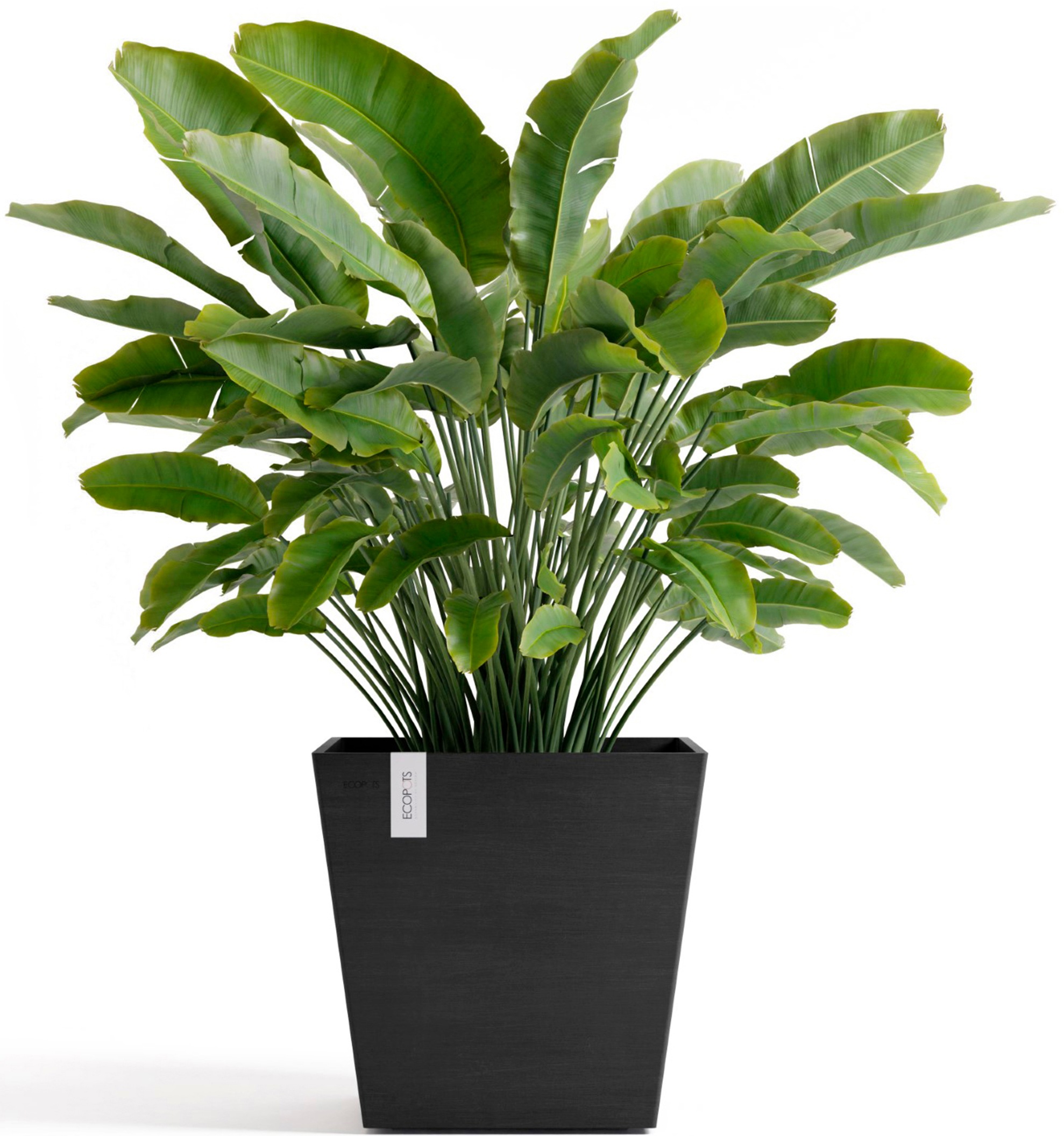 ECOPOTS Blumentopf »Rotterdam 45 + Wassersystem Dunkelgrau«, für innen und außen: frostsicher, bruchsicher und lichtbeständig