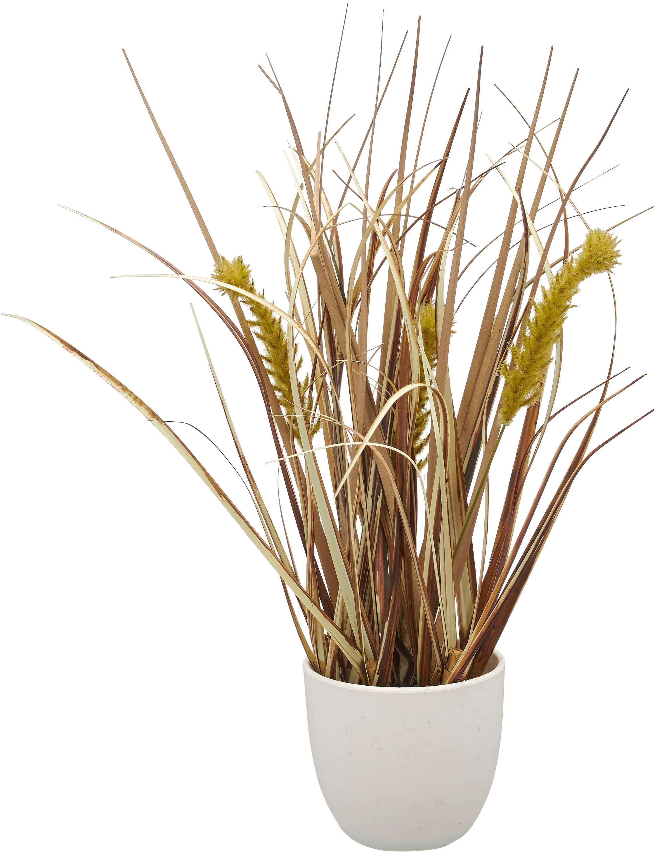 Creativ green Kunstgras "Grasbusch Düne", als Set aus drei Ausführungen günstig online kaufen