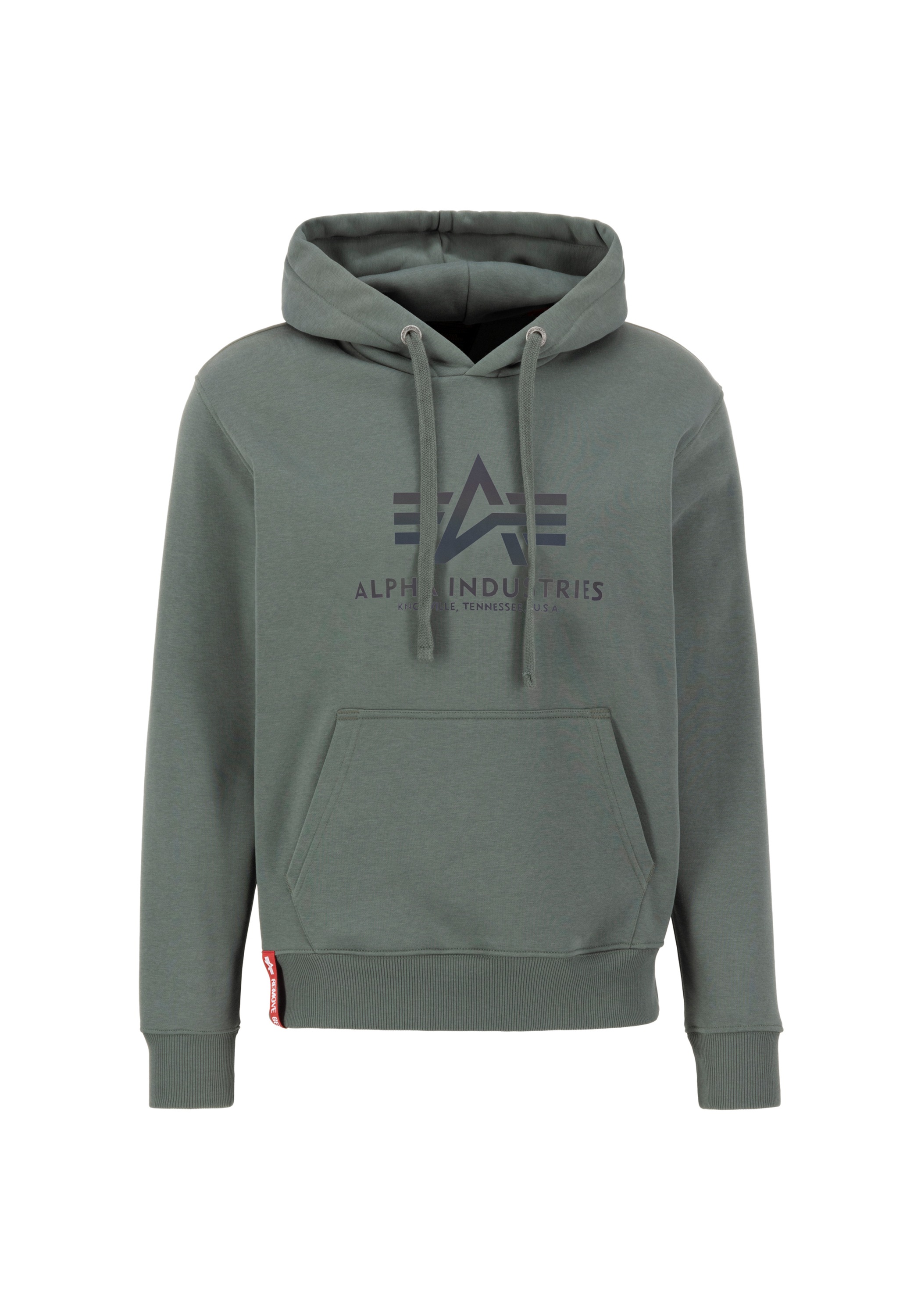 Alpha Industries Hoodie "Basic Hoodie BL Rainbow Refl. Print" günstig online kaufen