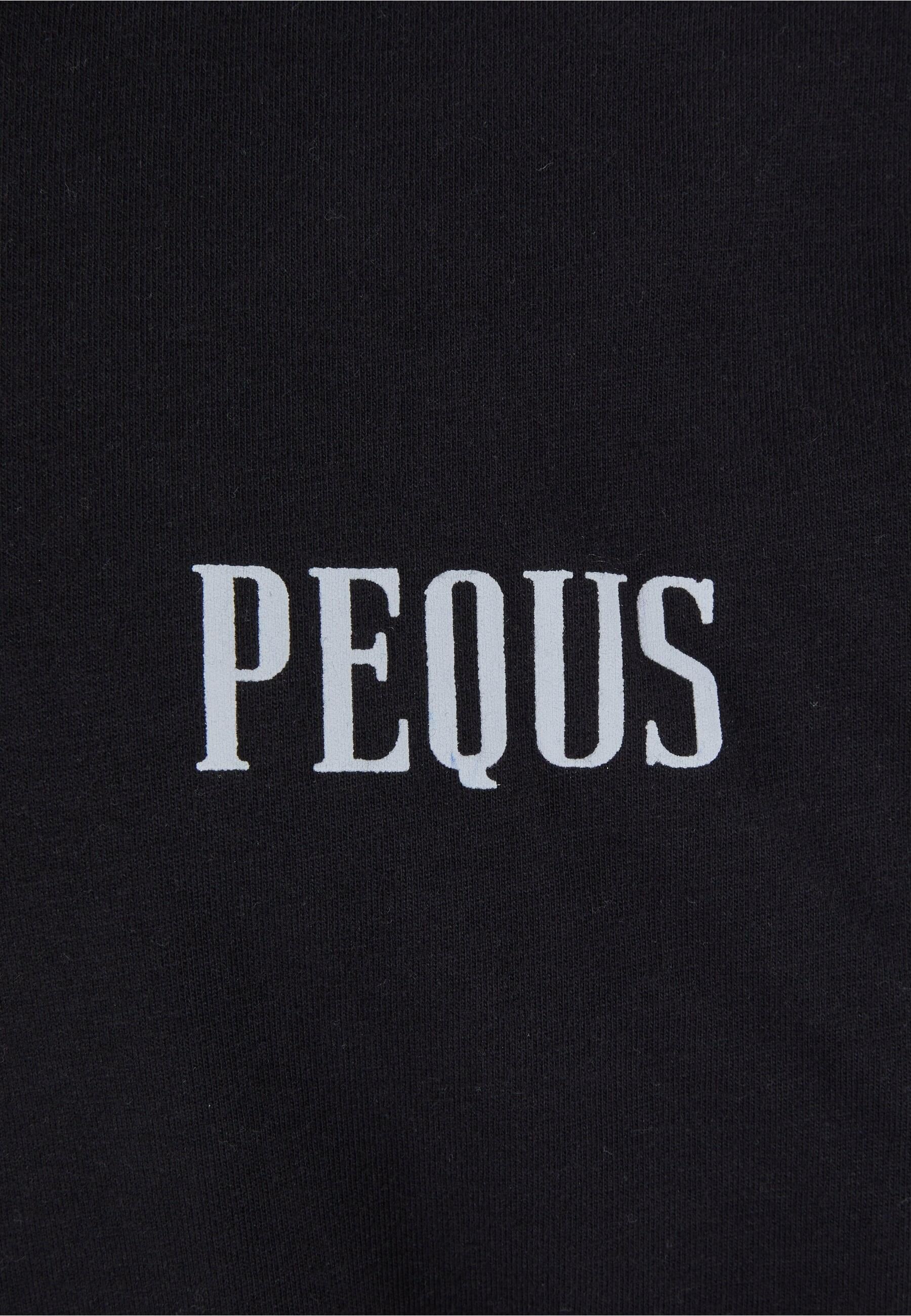 PEQUS T-Shirt »PEQUS PEQUS Back Logo T-Shirt«, (1 tlg.)