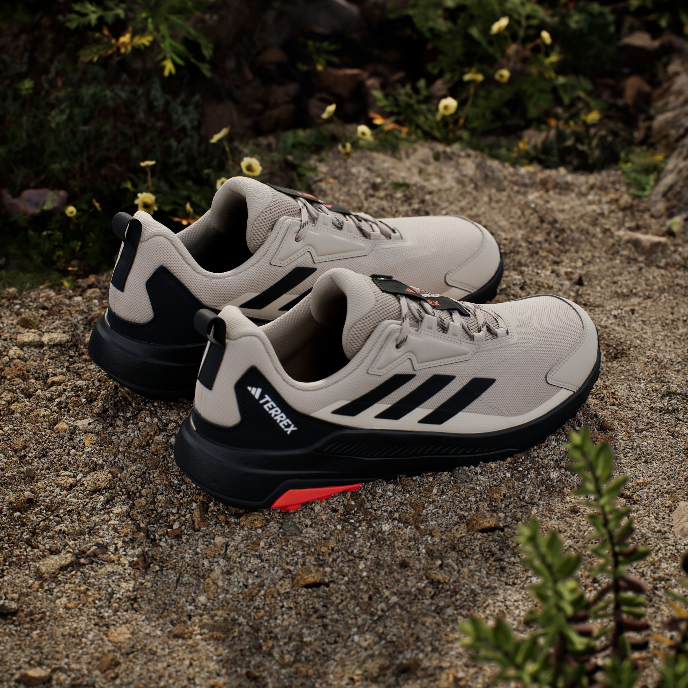 adidas TERREX Wanderschuh »TERREX ANYLANDER«
