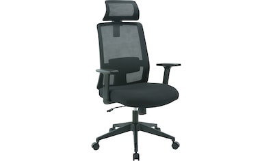 Bürostuhl »Tallard, Mesh Schreibtischstuhl, ergonomische Ausstattung«, Netzstoff