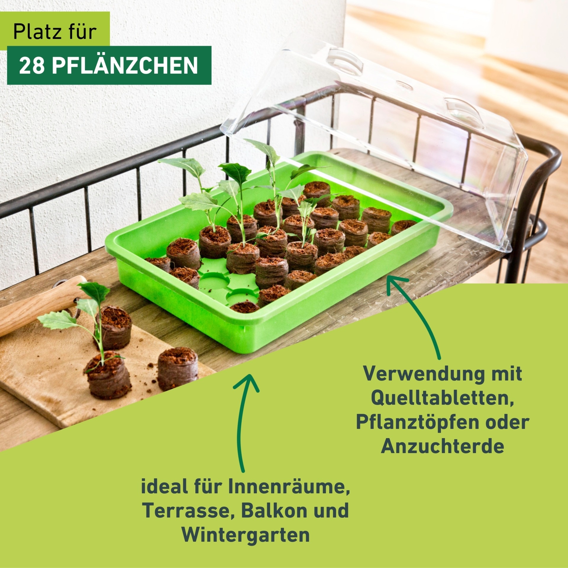 Windhager Gewächshaus »für Gemüse und Blumen, Anzucht Schale« ideal für Innenräume, Terrasse, Balkon, 28 x 24 x 6 cm, grün