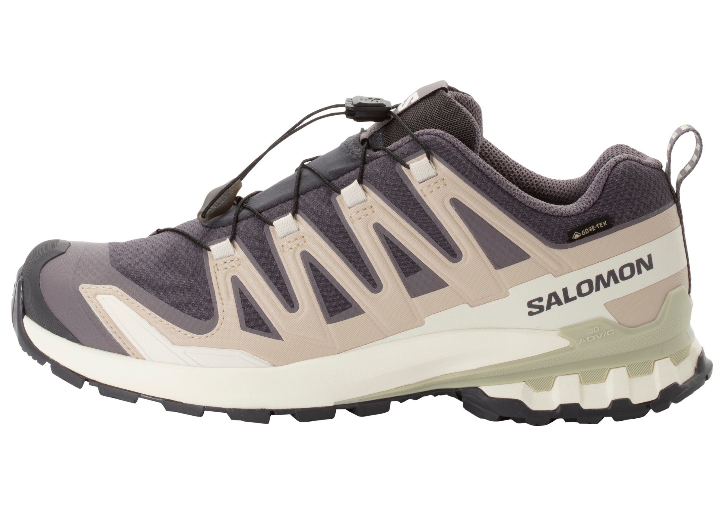 Salomon Trailrunningschuh »XA PRO 3D V9 GTX W«, wasserdicht