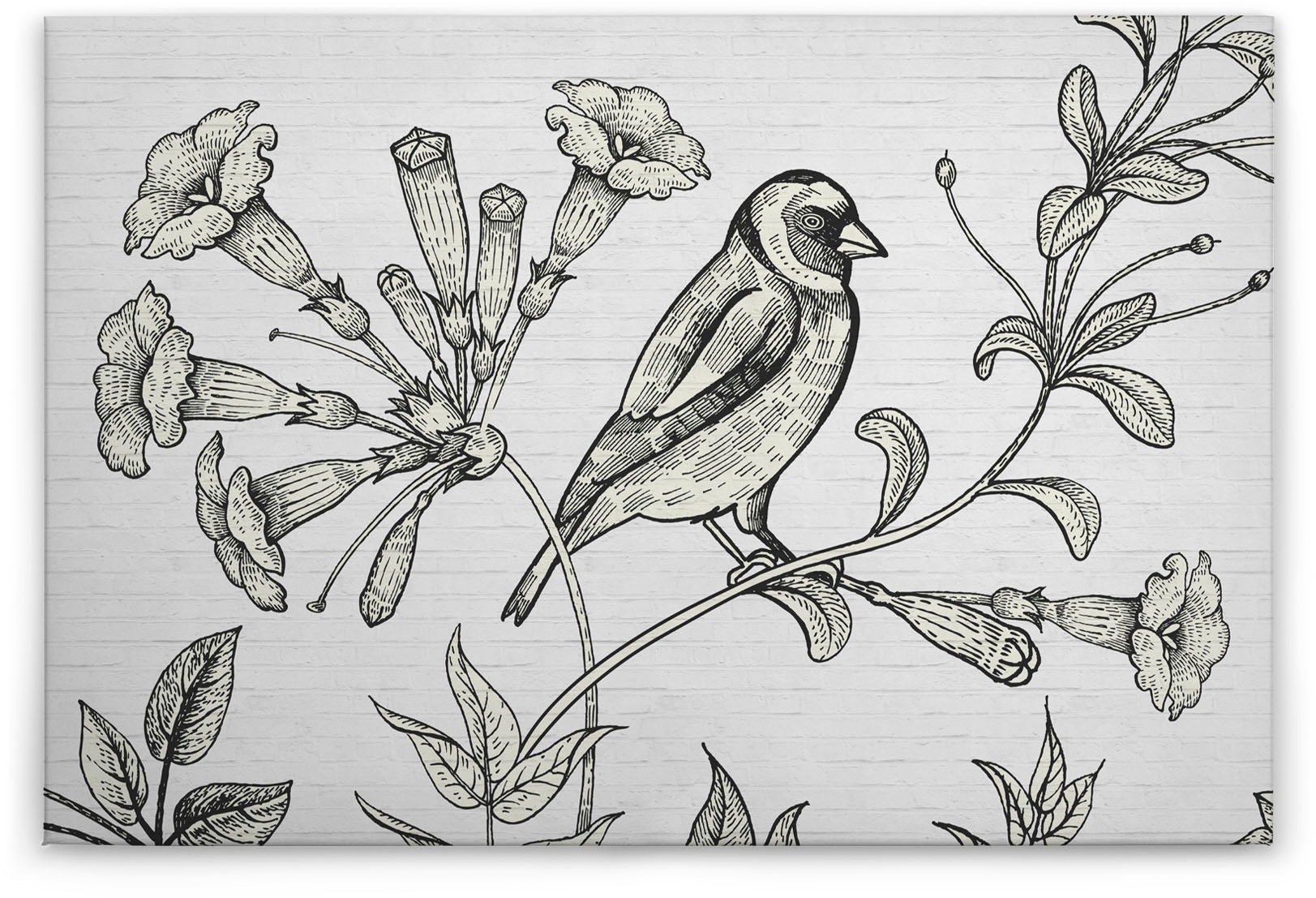 A.S. Création Leinwandbild »birdy«, Kunst-Gemälde-Kinder, (1 St.), Schwarz-Weiß Zeichnung Floral Keilrahmen Leinwand-Bild Wohnzimmer Wand