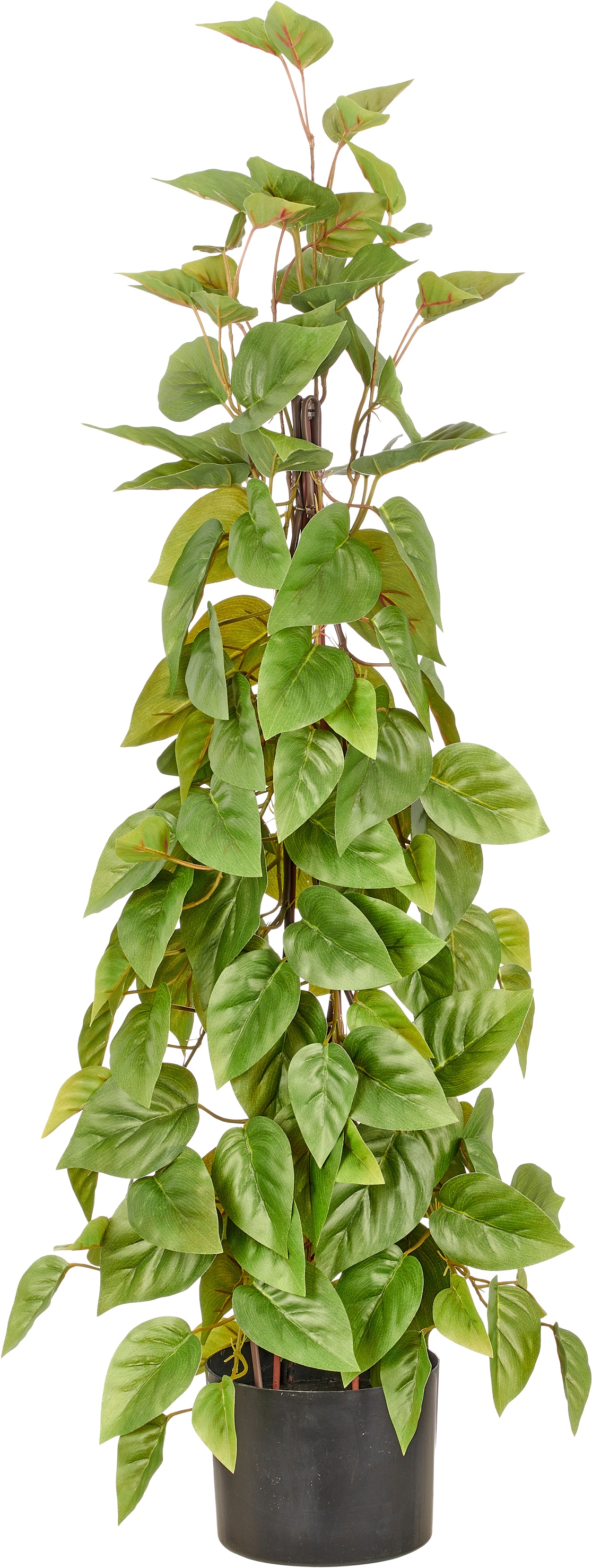 Creativ green Kunstbaum "Philodendron scandens" in Pyramidenform