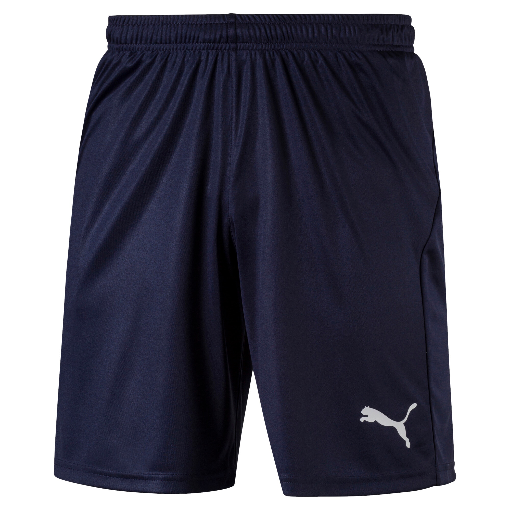 PUMA Trainingsshorts »LIGA SHORTS CORE«