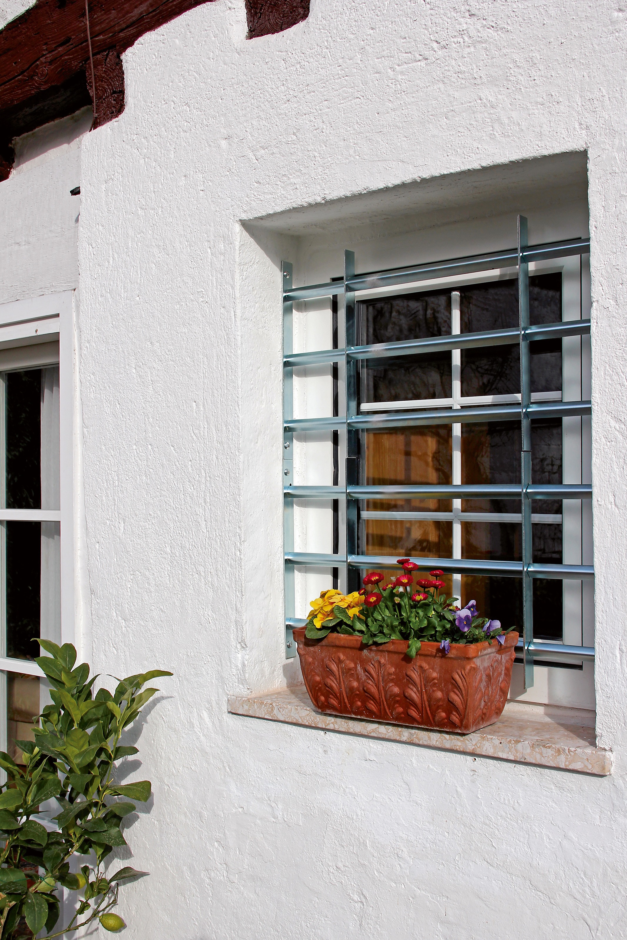 Alberts Fensterschutzgitter »Secorino Basic«, Breite: 50 - 65 cm und 70 - 105 cm, Höhe: 30 und 45 cm