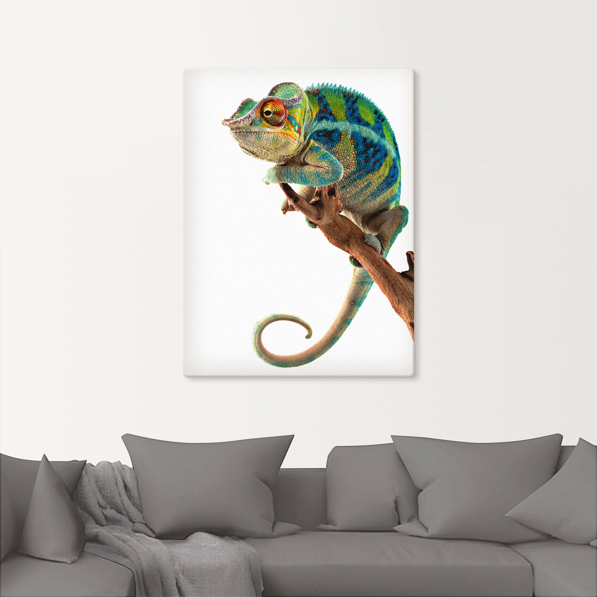 Leinwandbild ARTLAND "Ambanja Panther Chamäleon", weiß (farbe bild(er): weiß), B:60cm H:80cm, Bilder, Leinwandbild, auf Holzrahmen gespannt 2