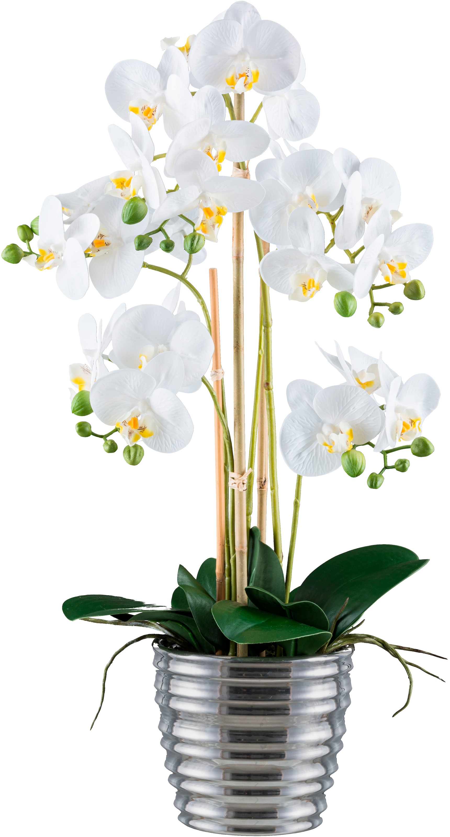 Kunstorchidee »Orchidee Phalaenopsis«, mit silberfarbenem Keramiktopf